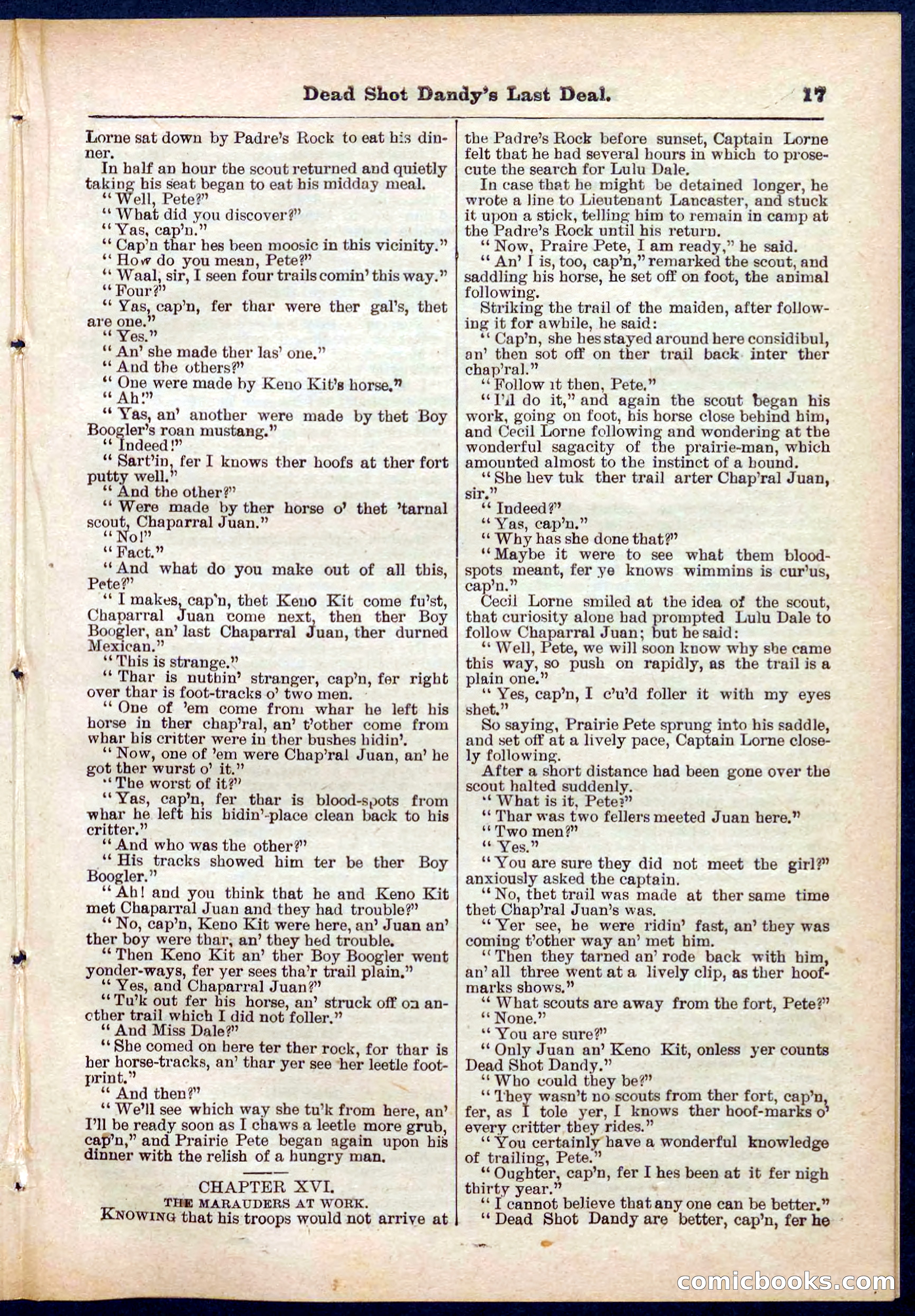 Beadle's Pocket Library No. 280 — page 17 of 32