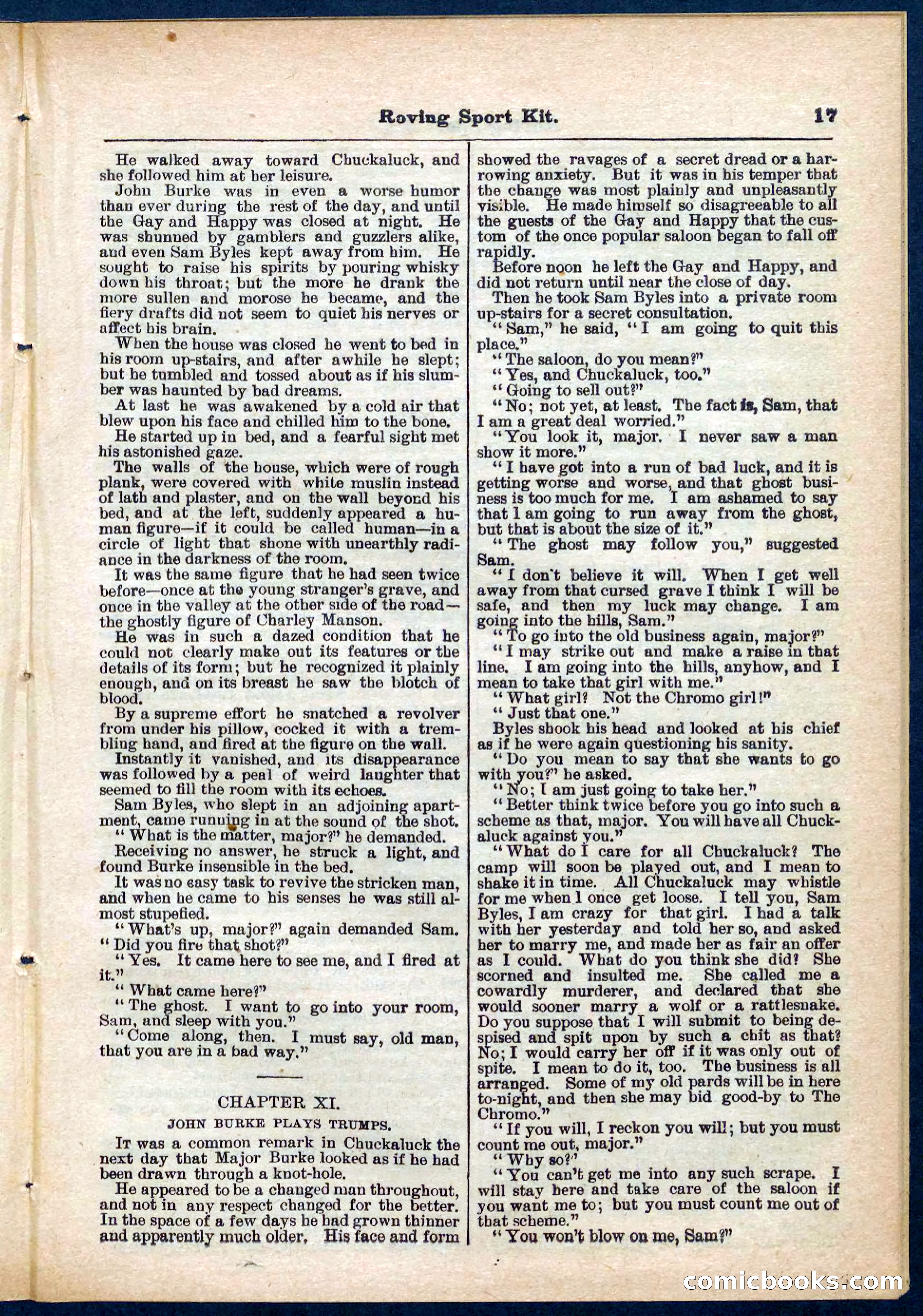 Beadle's Pocket Library No. 283 — page 17 of 32