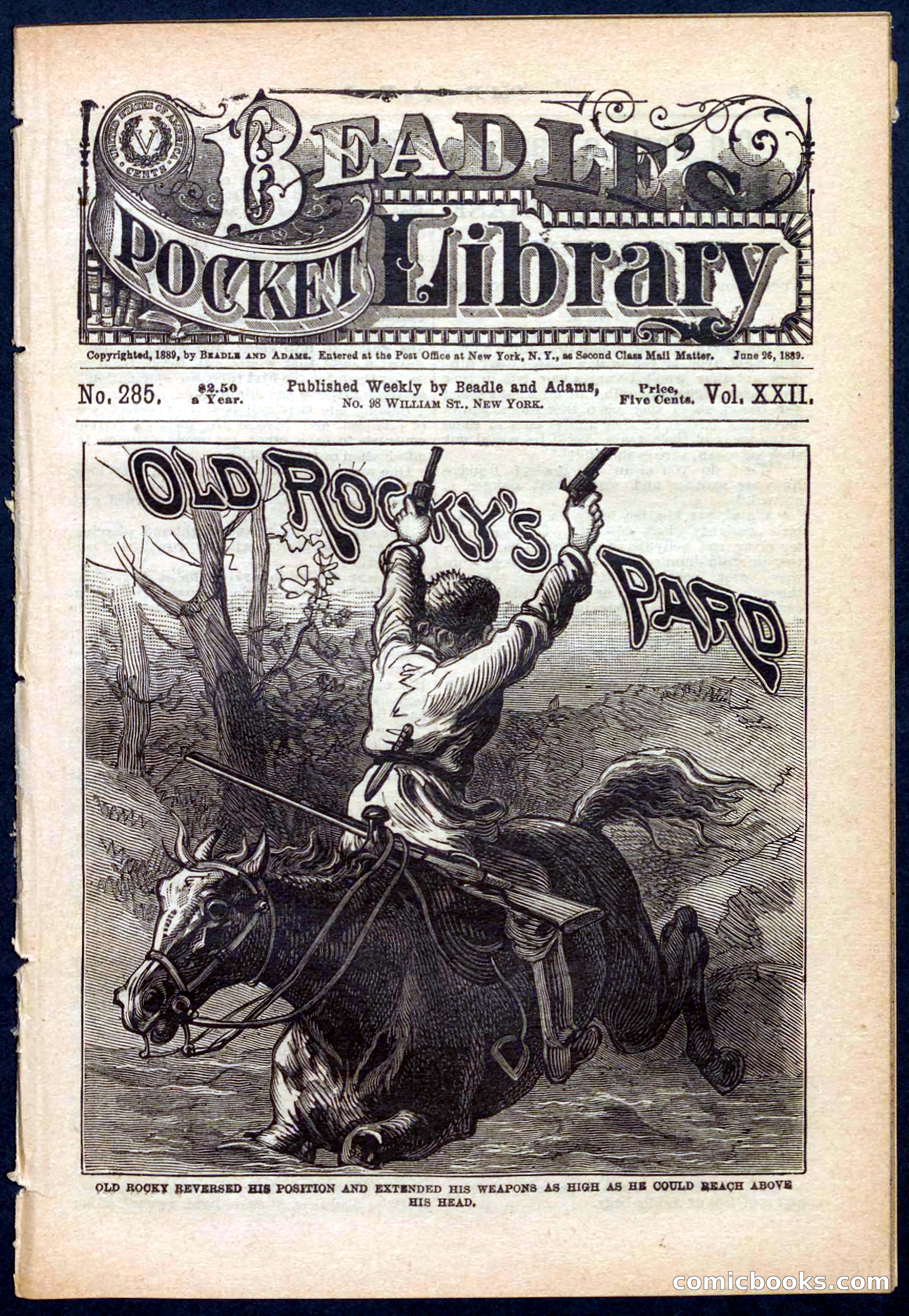 Beadle's Pocket Library No. 285 — page 1 of 32