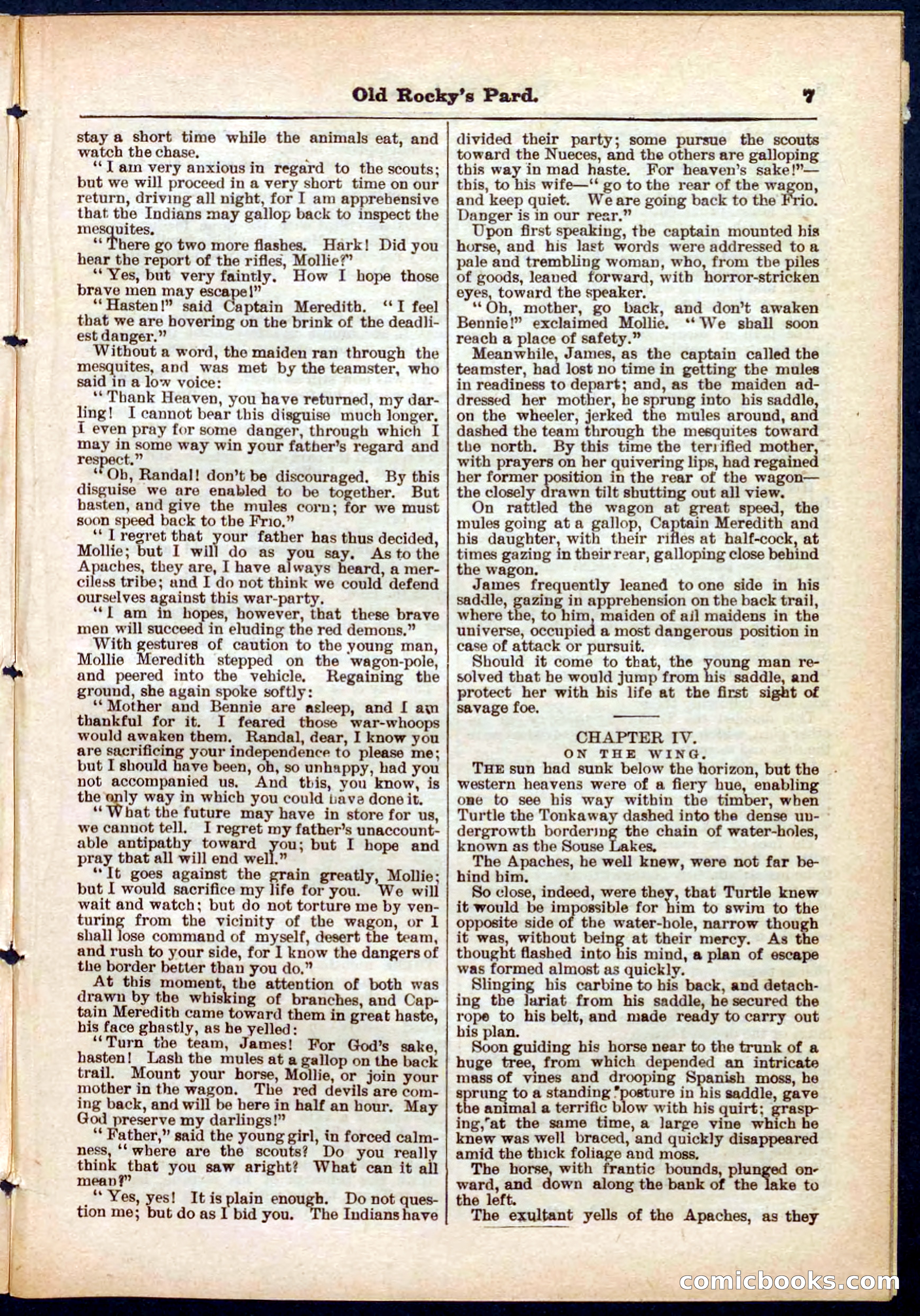 Beadle's Pocket Library No. 285 — page 7 of 32