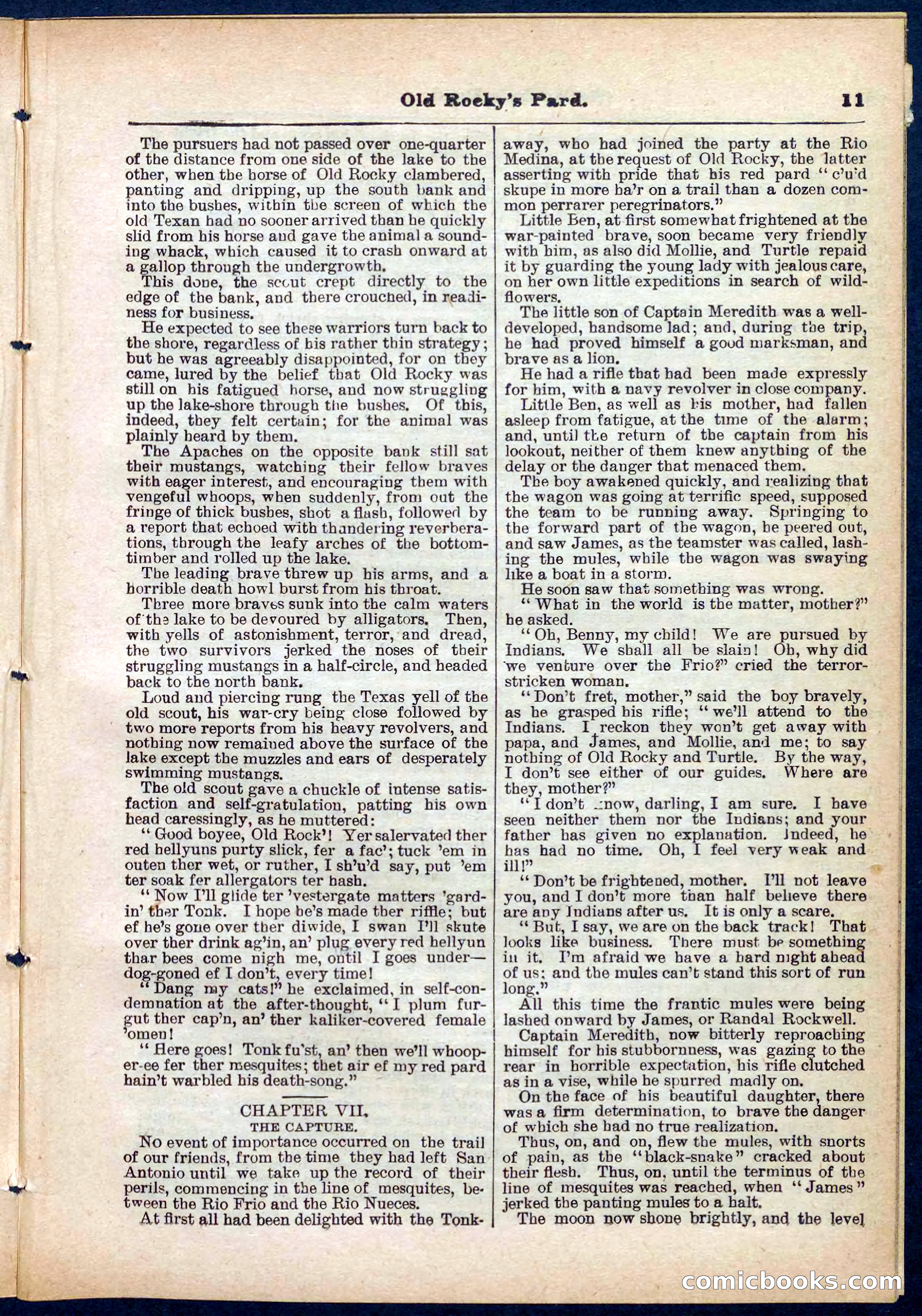 Beadle's Pocket Library No. 285 — page 11 of 32