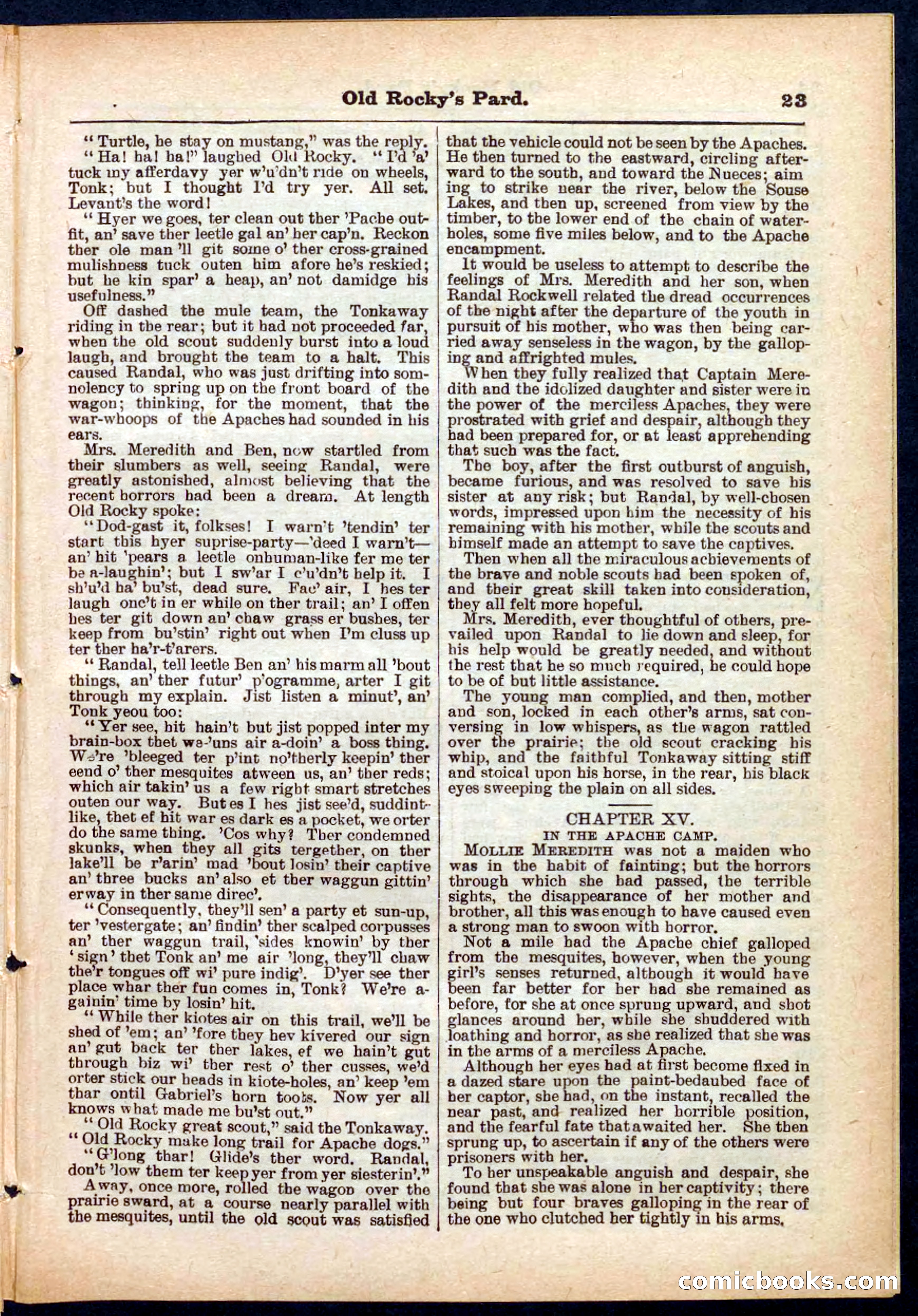Beadle's Pocket Library No. 285 — page 23 of 32