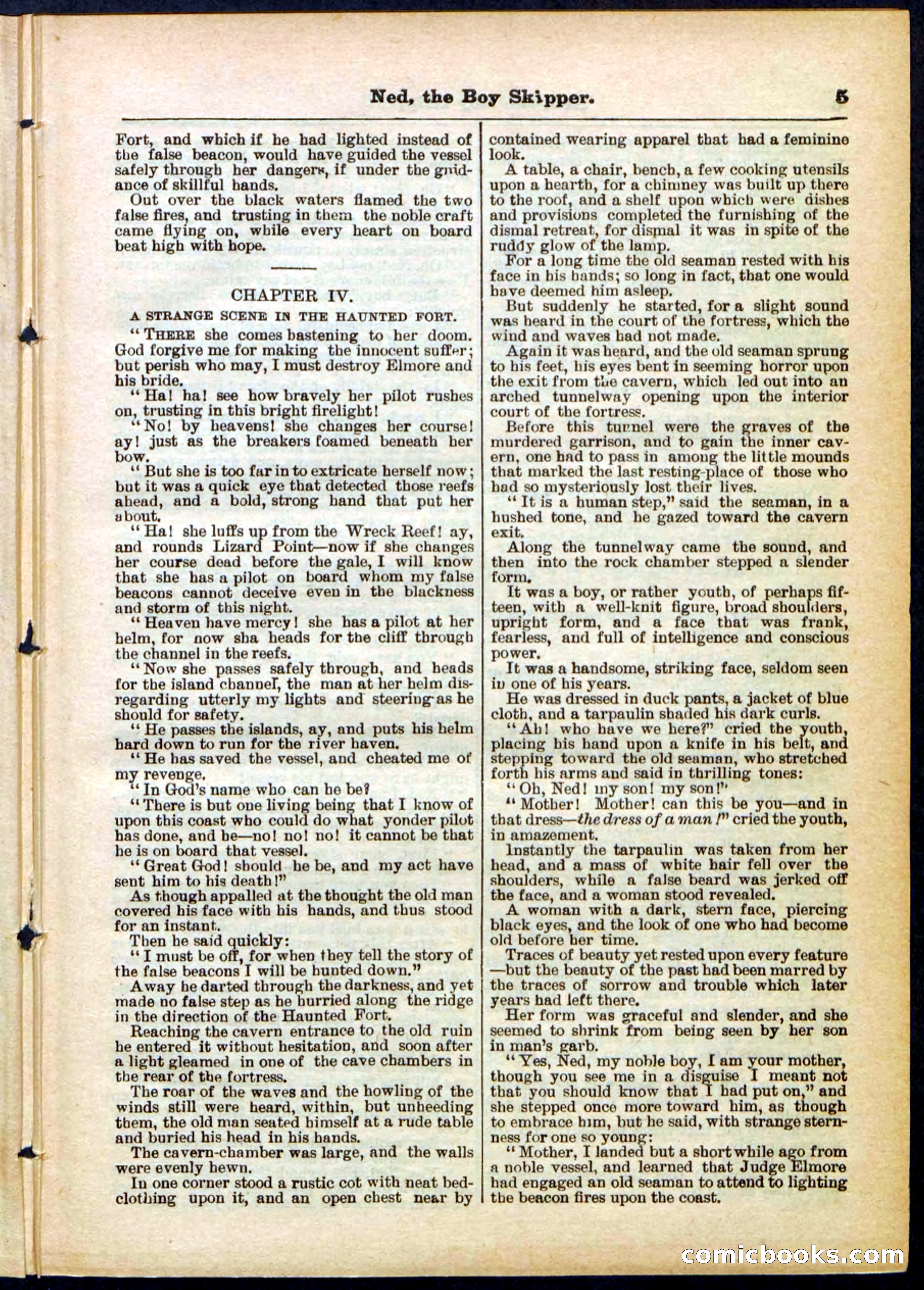 Beadle's Pocket Library No. 287 — page 5 of 32