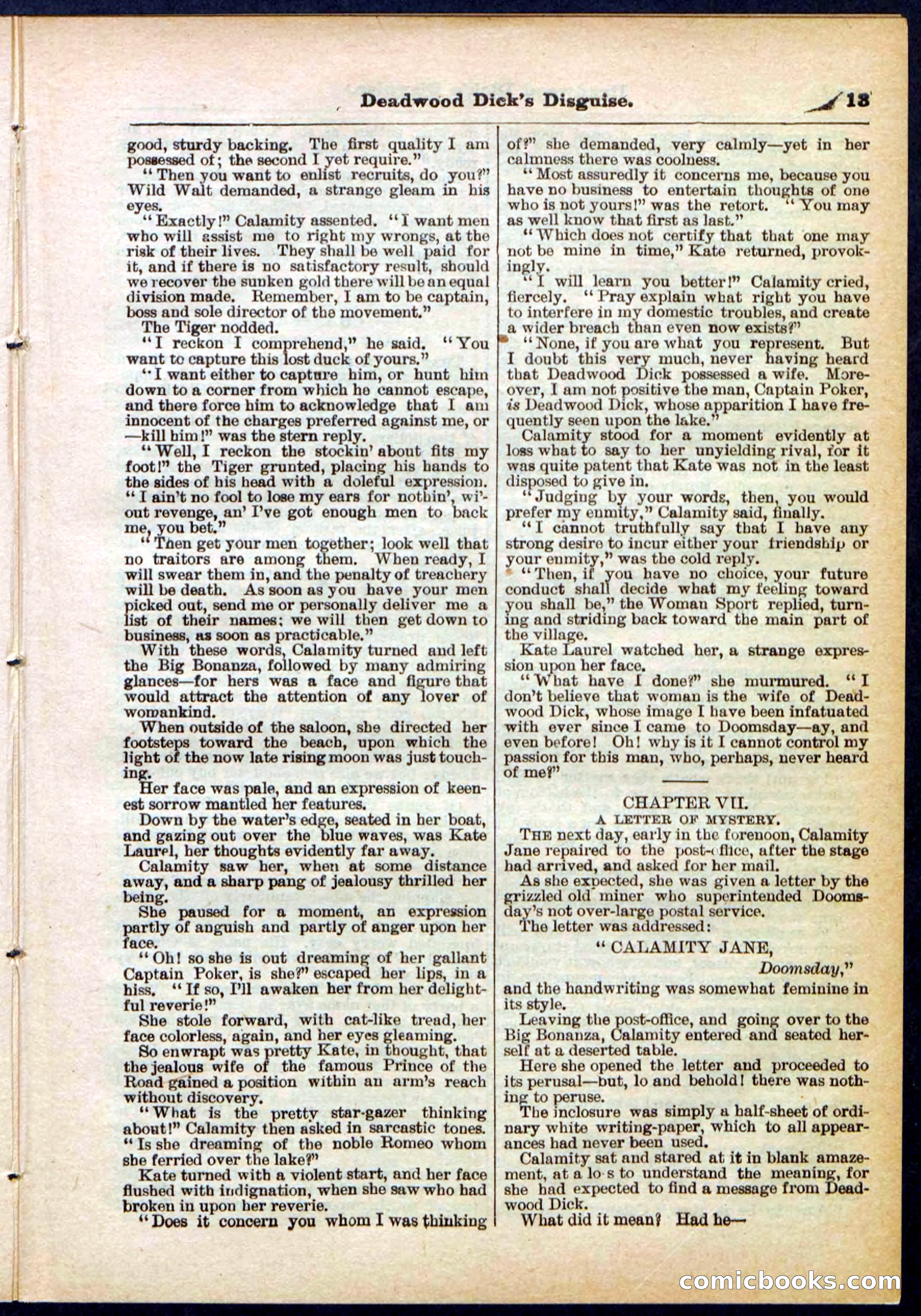 Beadle's Pocket Library No. 288 — page 13 of 32
