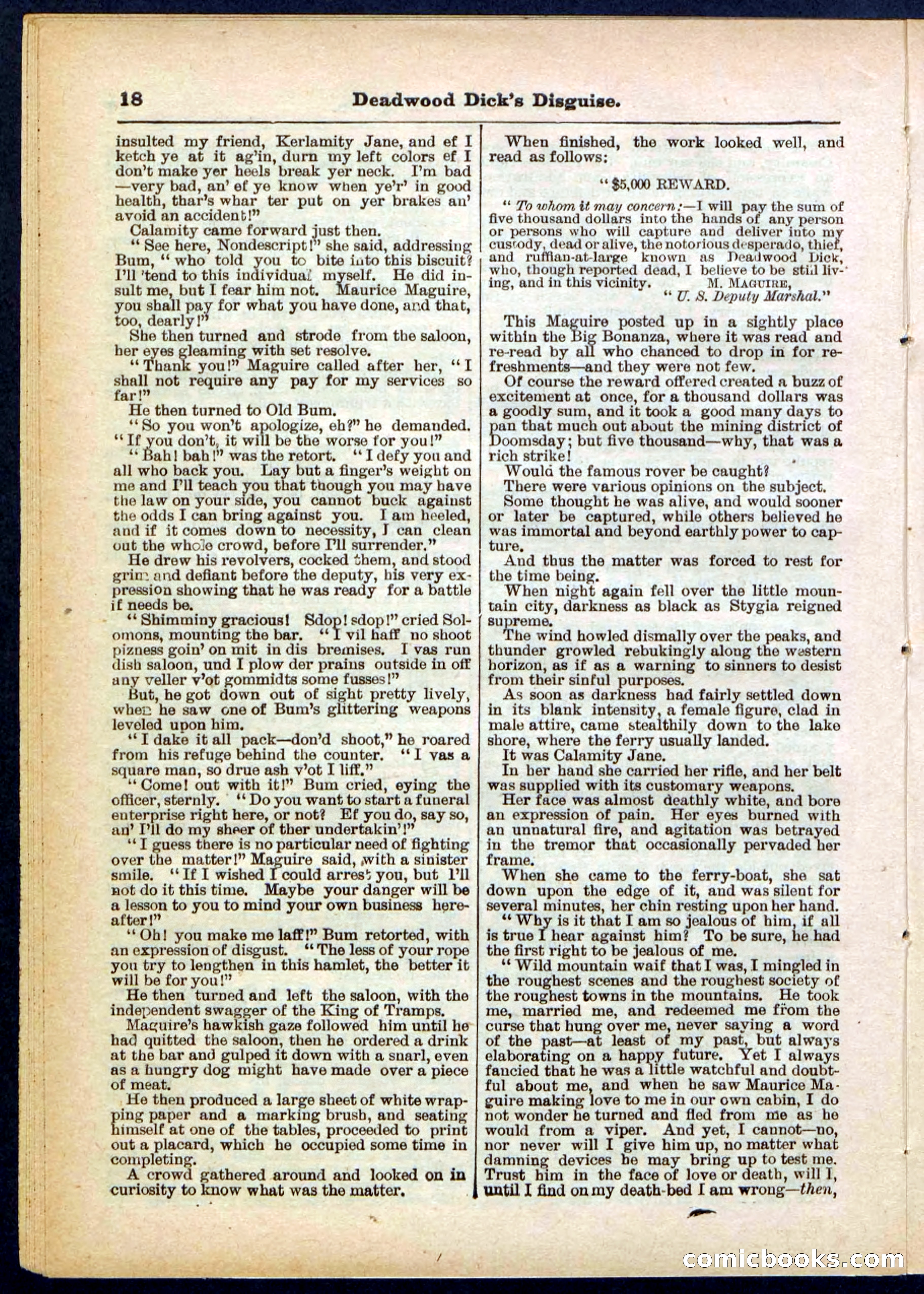 Beadle's Pocket Library No. 288 — page 18 of 32
