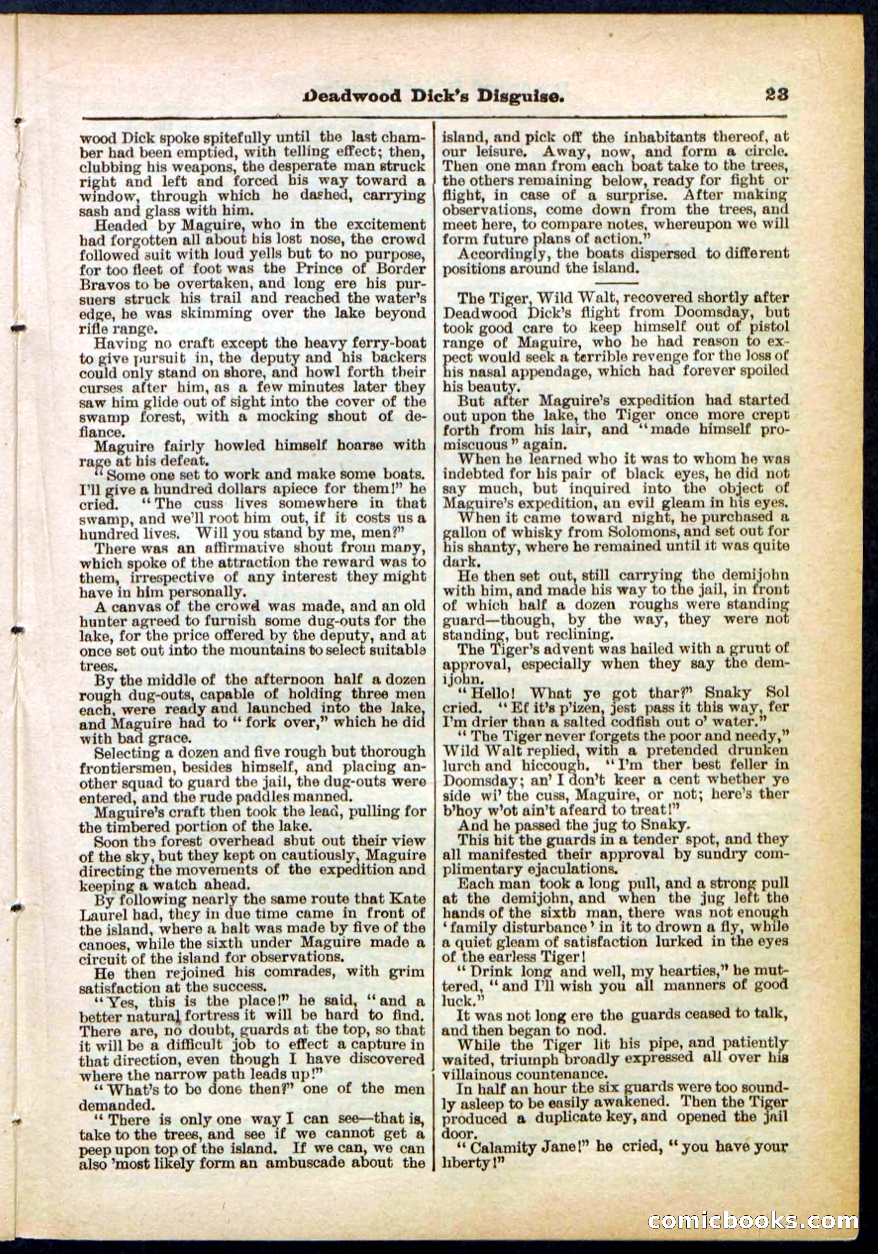 Beadle's Pocket Library No. 288 — page 23 of 32