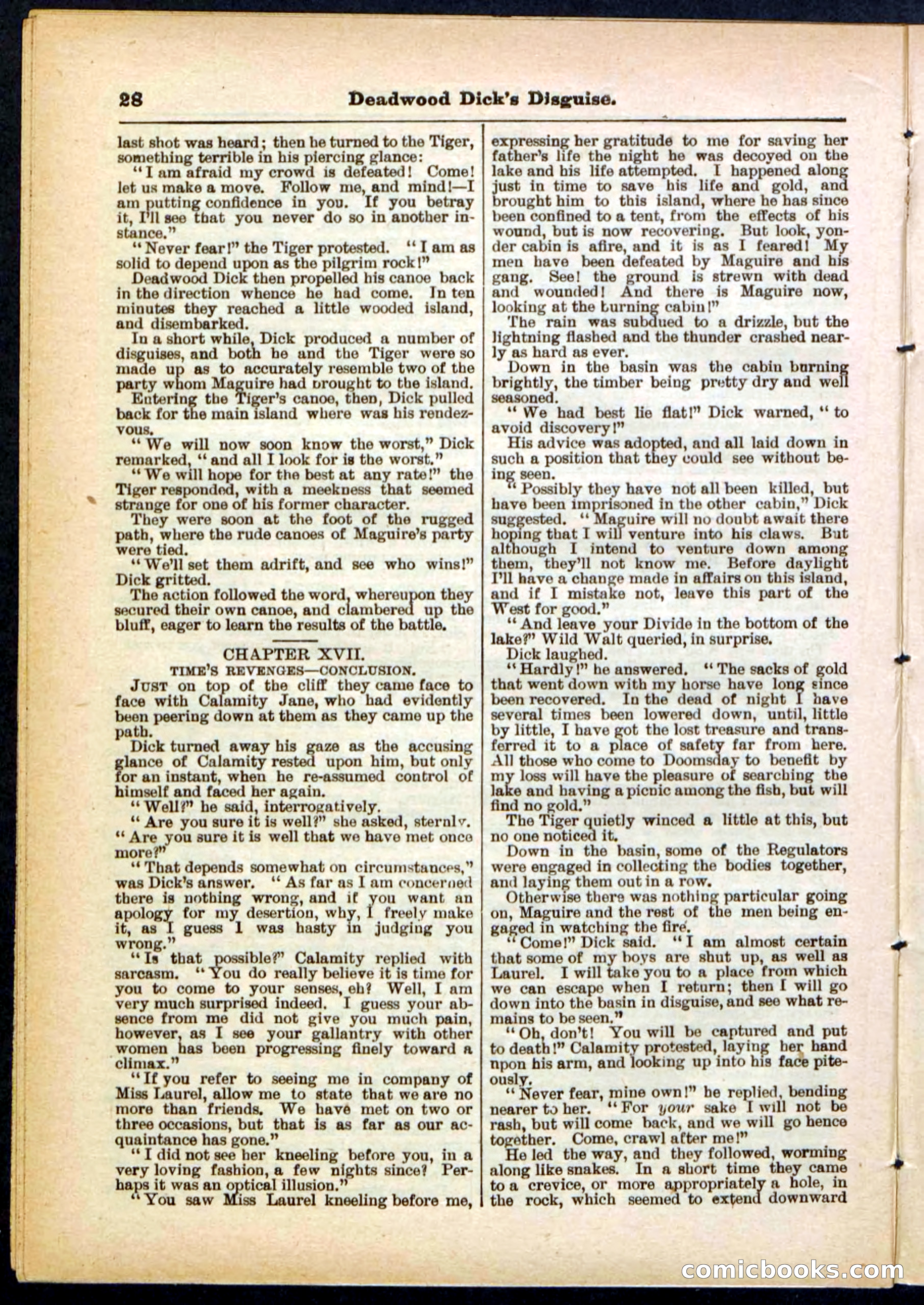 Beadle's Pocket Library No. 288 — page 28 of 32