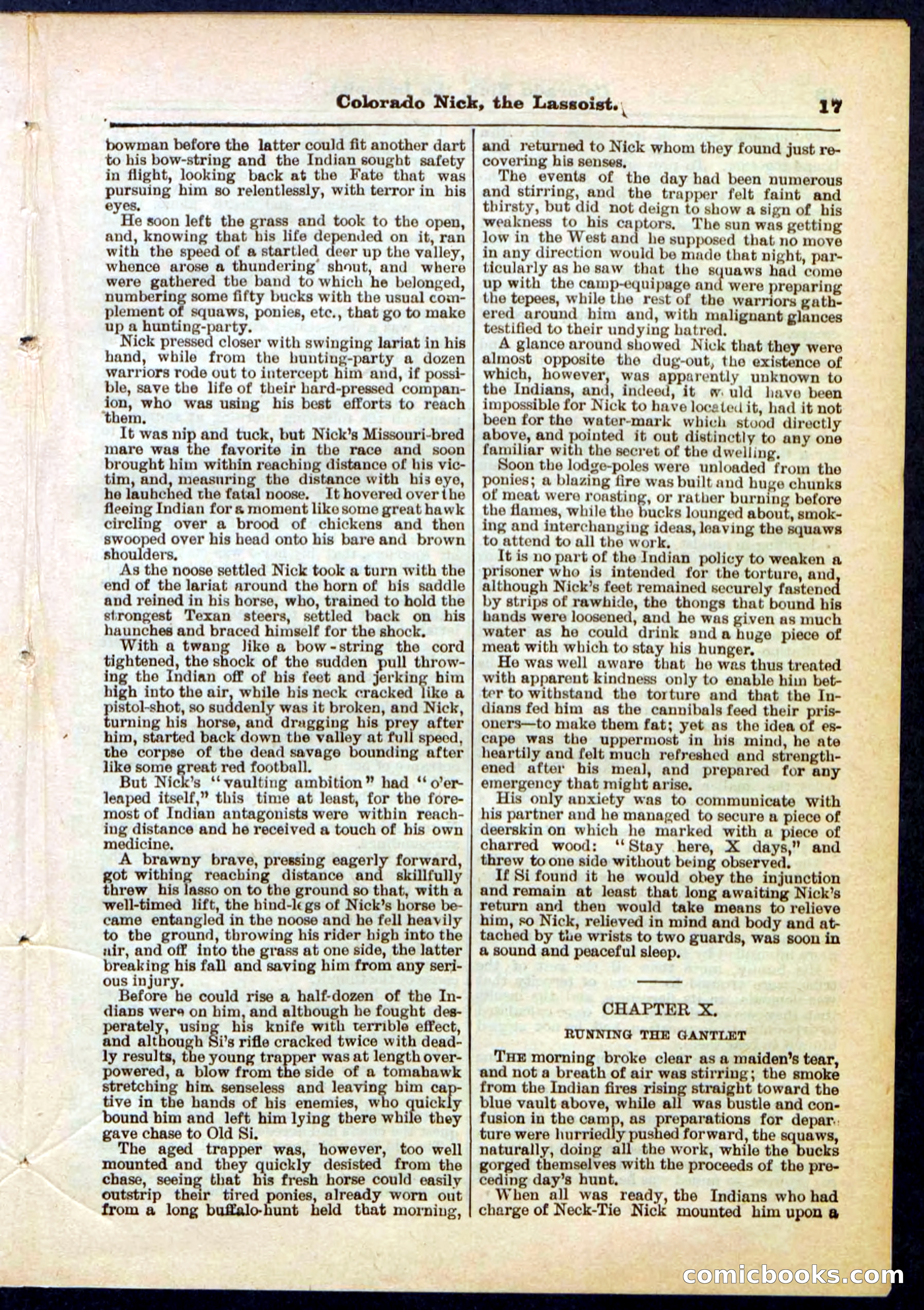 Beadle's Pocket Library No. 289 — page 17 of 32