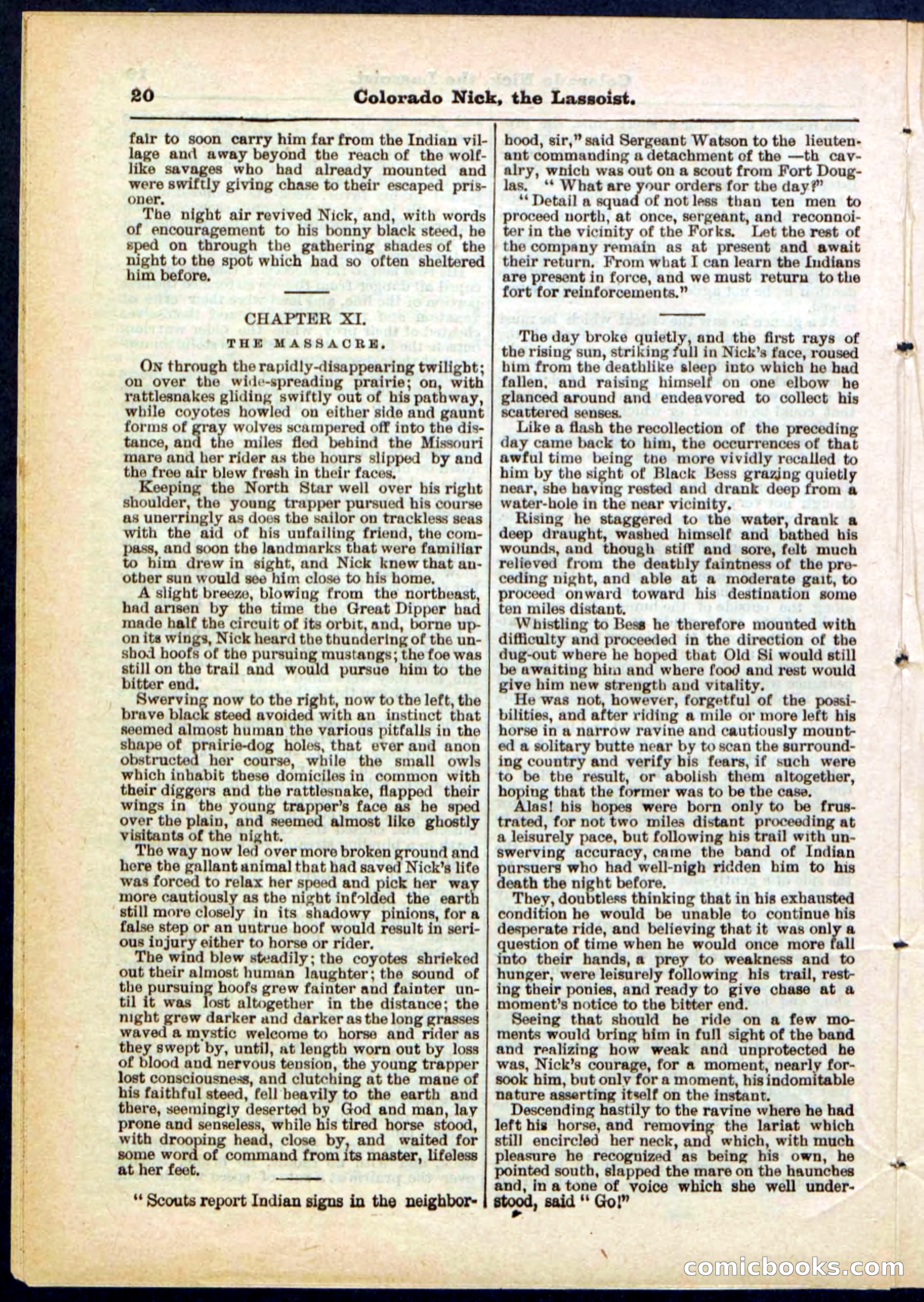 Beadle's Pocket Library No. 289 — page 20 of 32