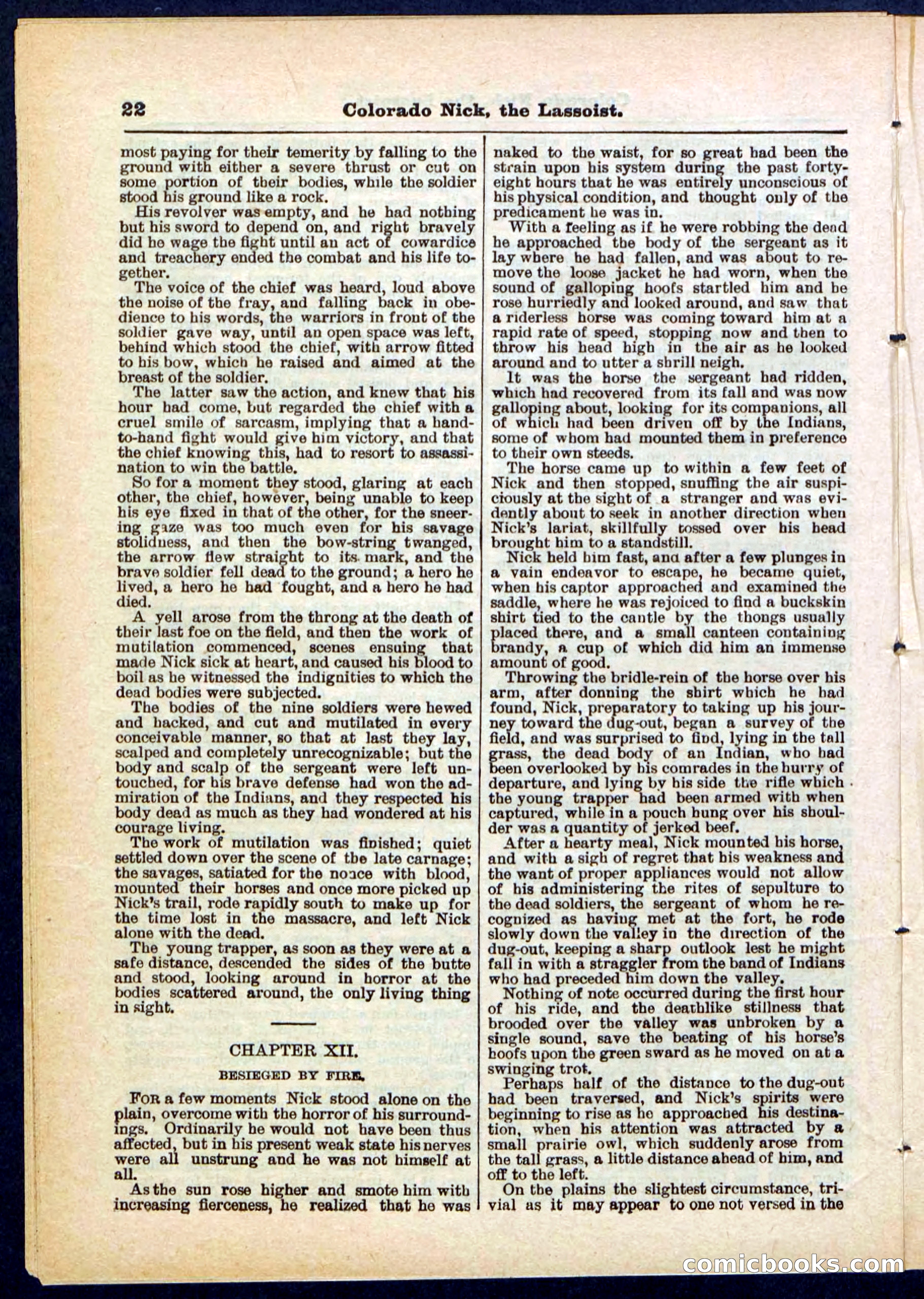 Beadle's Pocket Library No. 289 — page 22 of 32