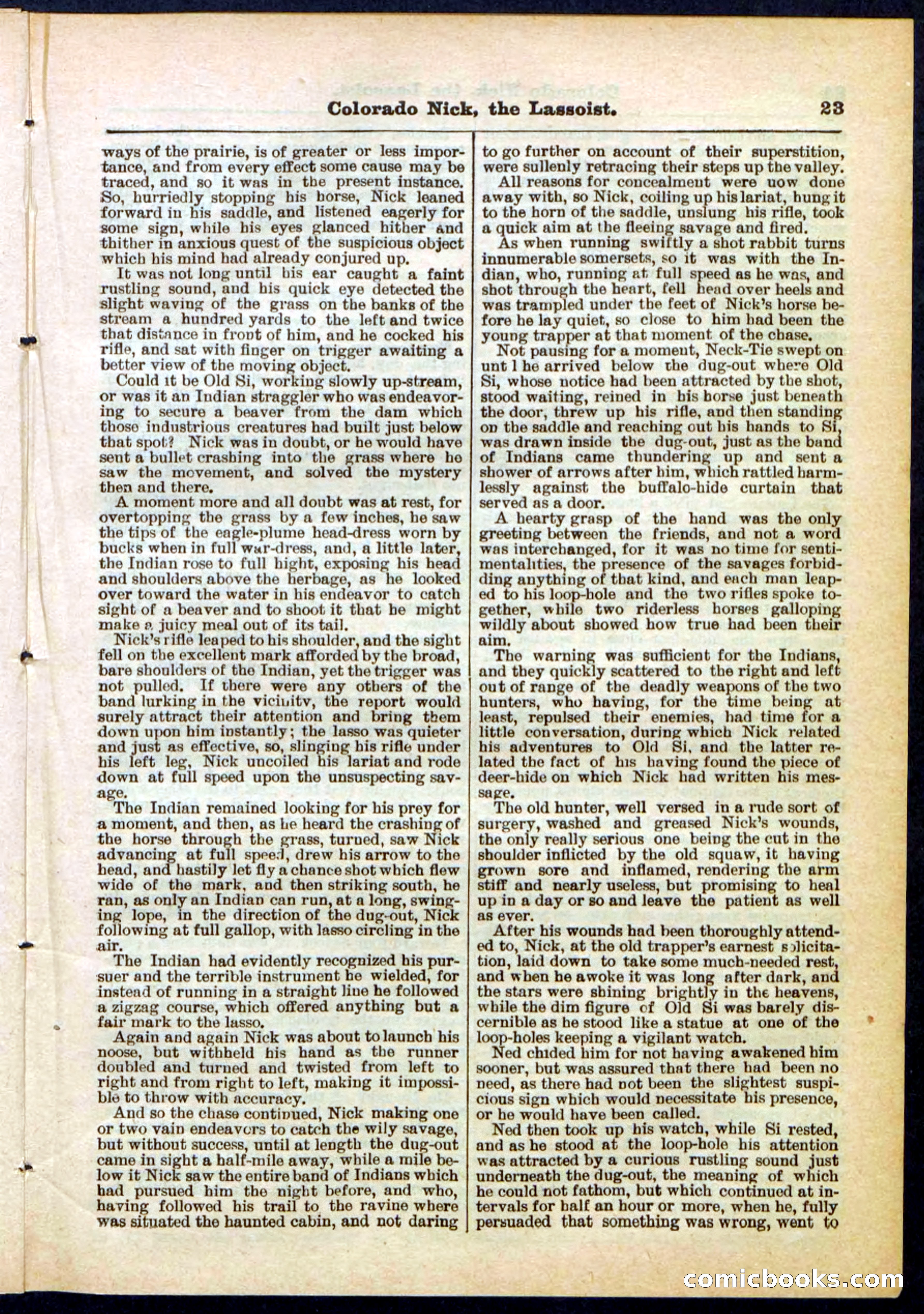 Beadle's Pocket Library No. 289 — page 23 of 32