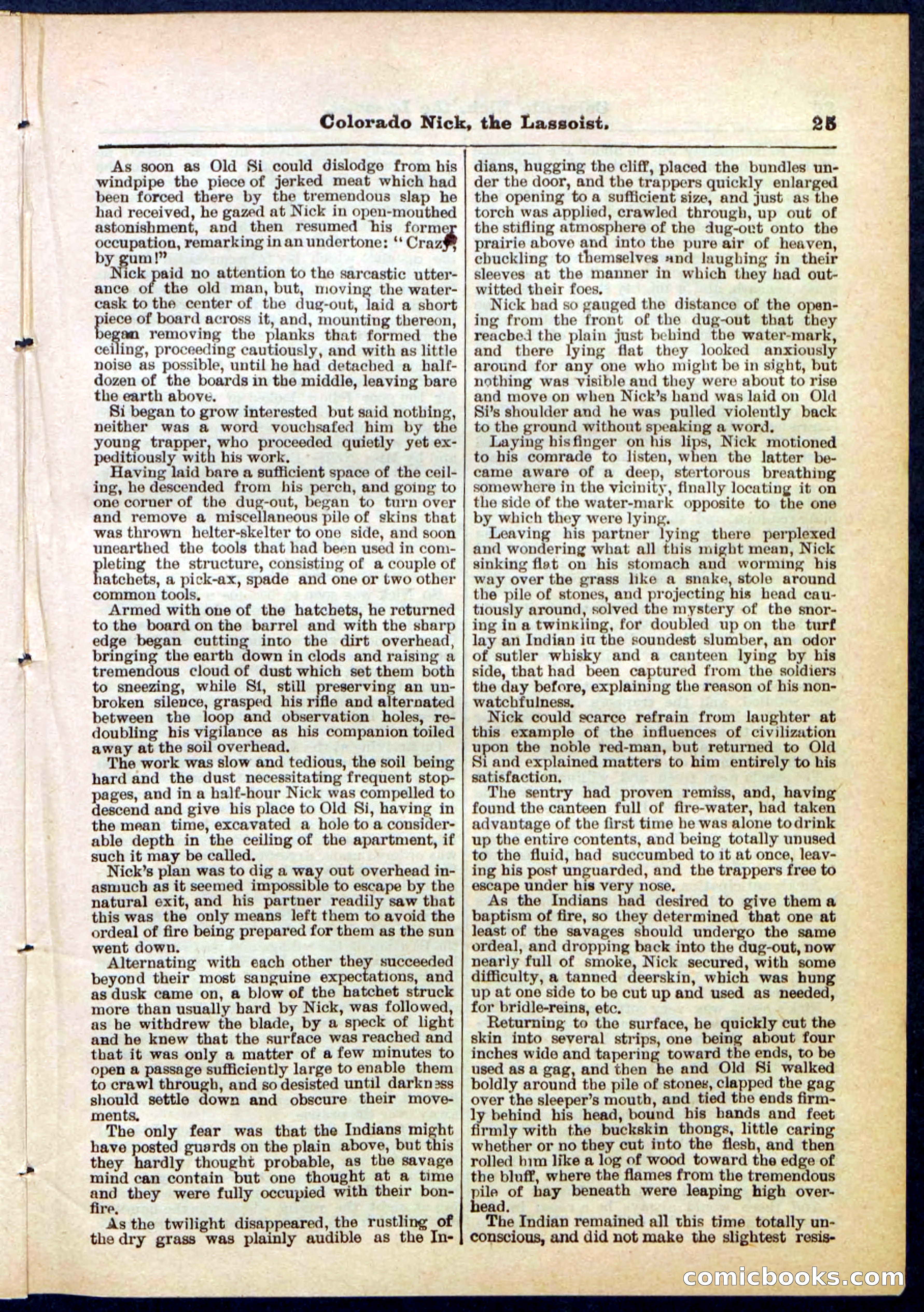 Beadle's Pocket Library No. 289 — page 25 of 32