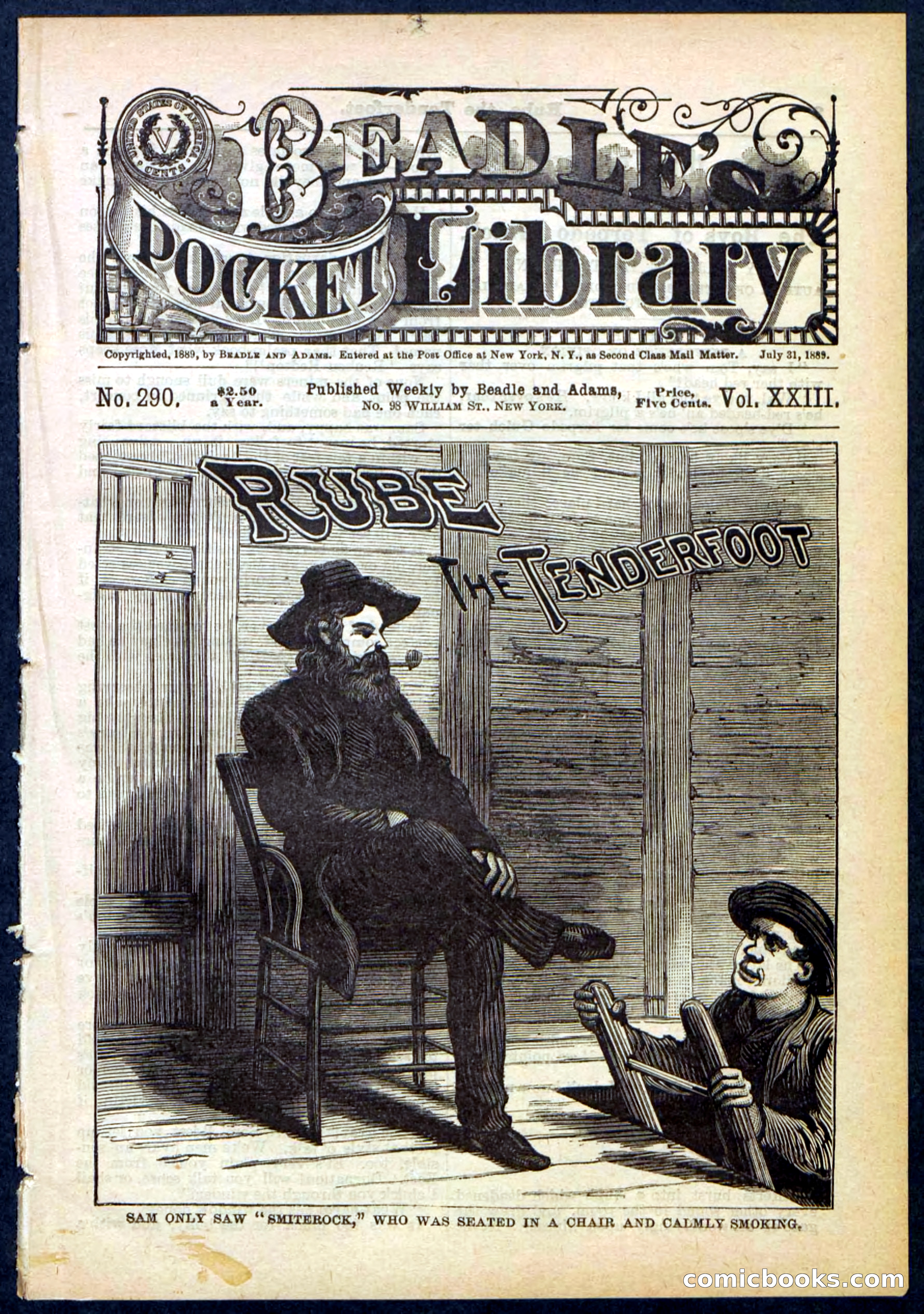 Beadle's Pocket Library No. 290 — page 1 of 32