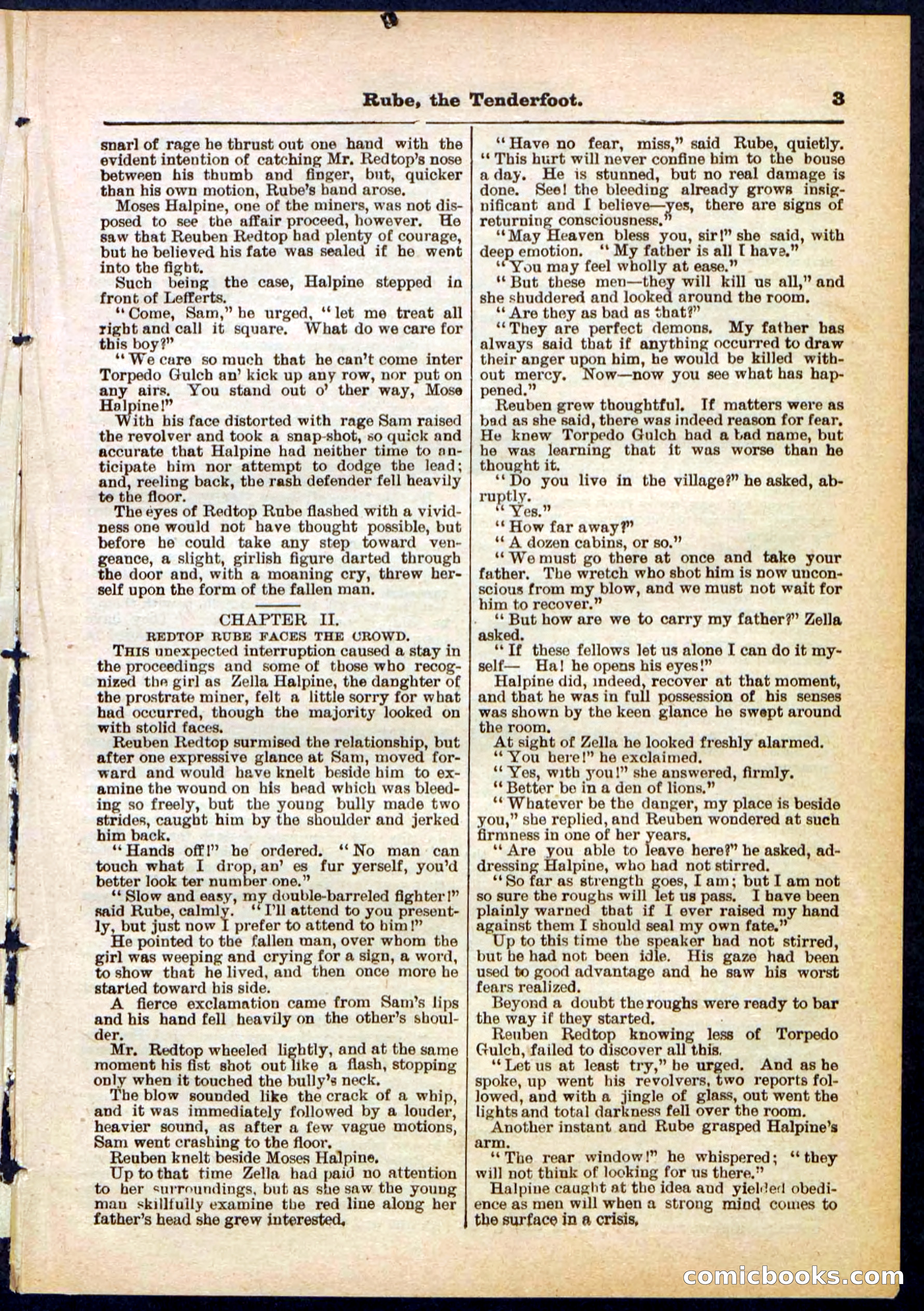 Beadle's Pocket Library No. 290 — page 3 of 32