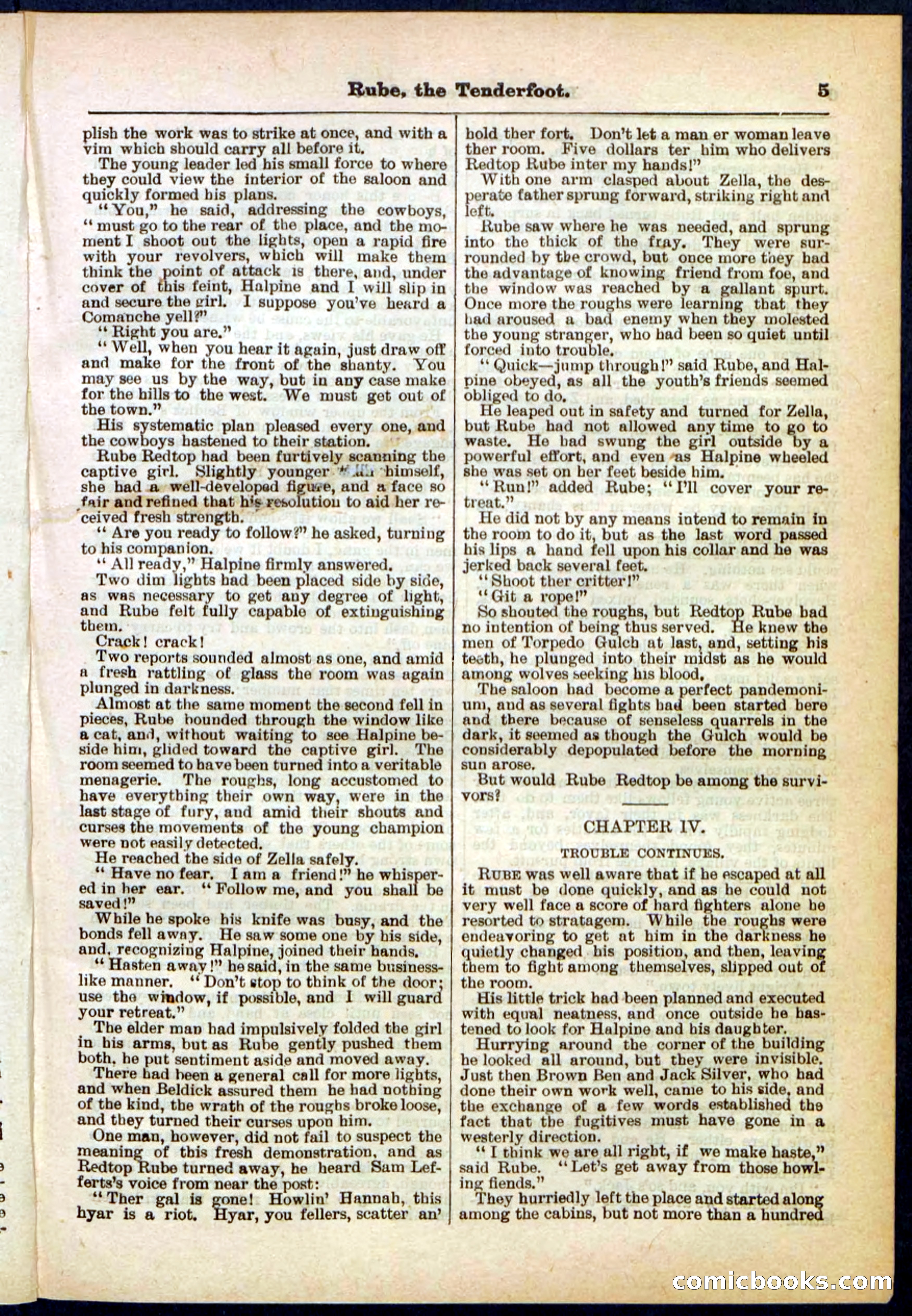 Beadle's Pocket Library No. 290 — page 5 of 32