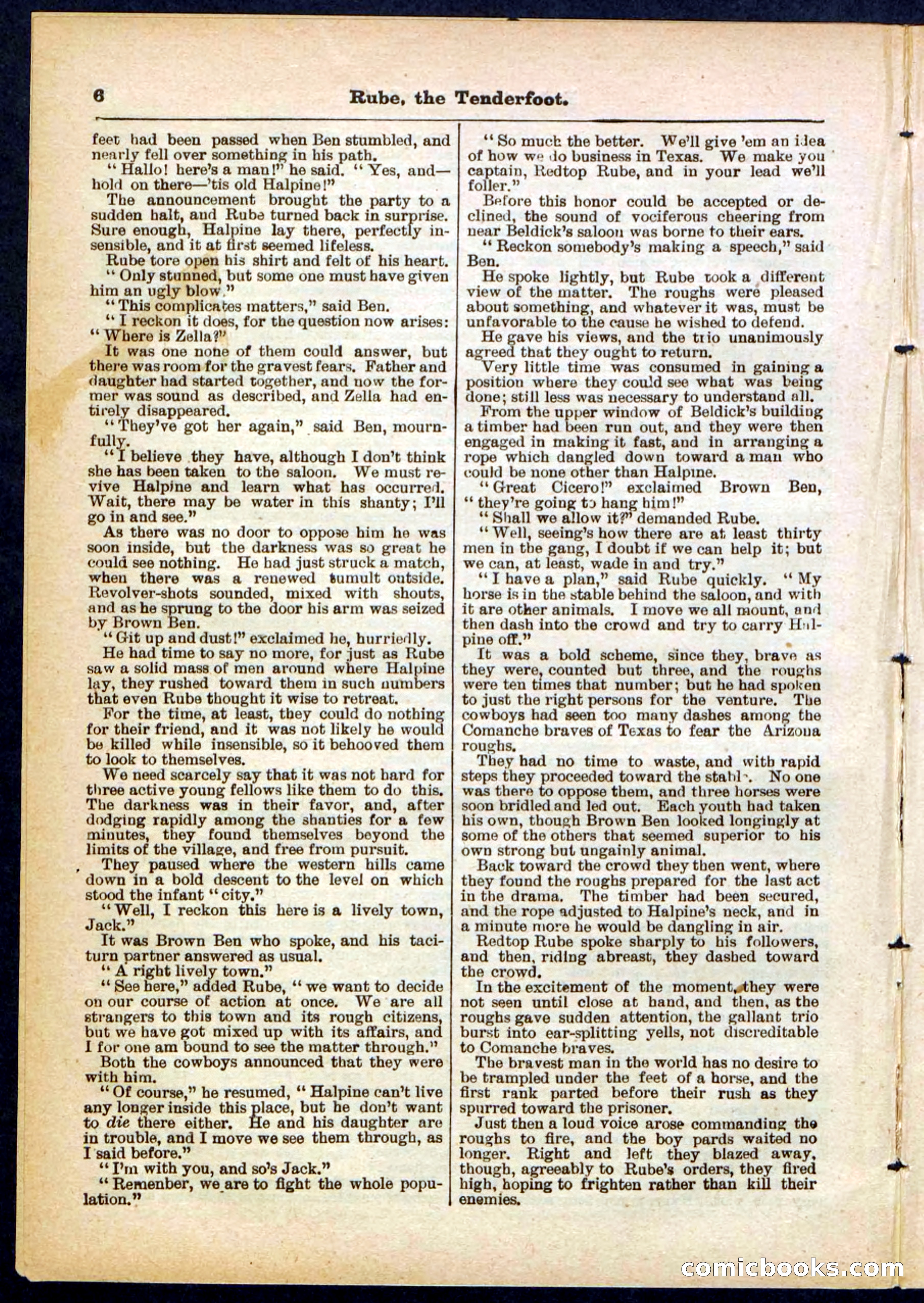 Beadle's Pocket Library No. 290 — page 6 of 32