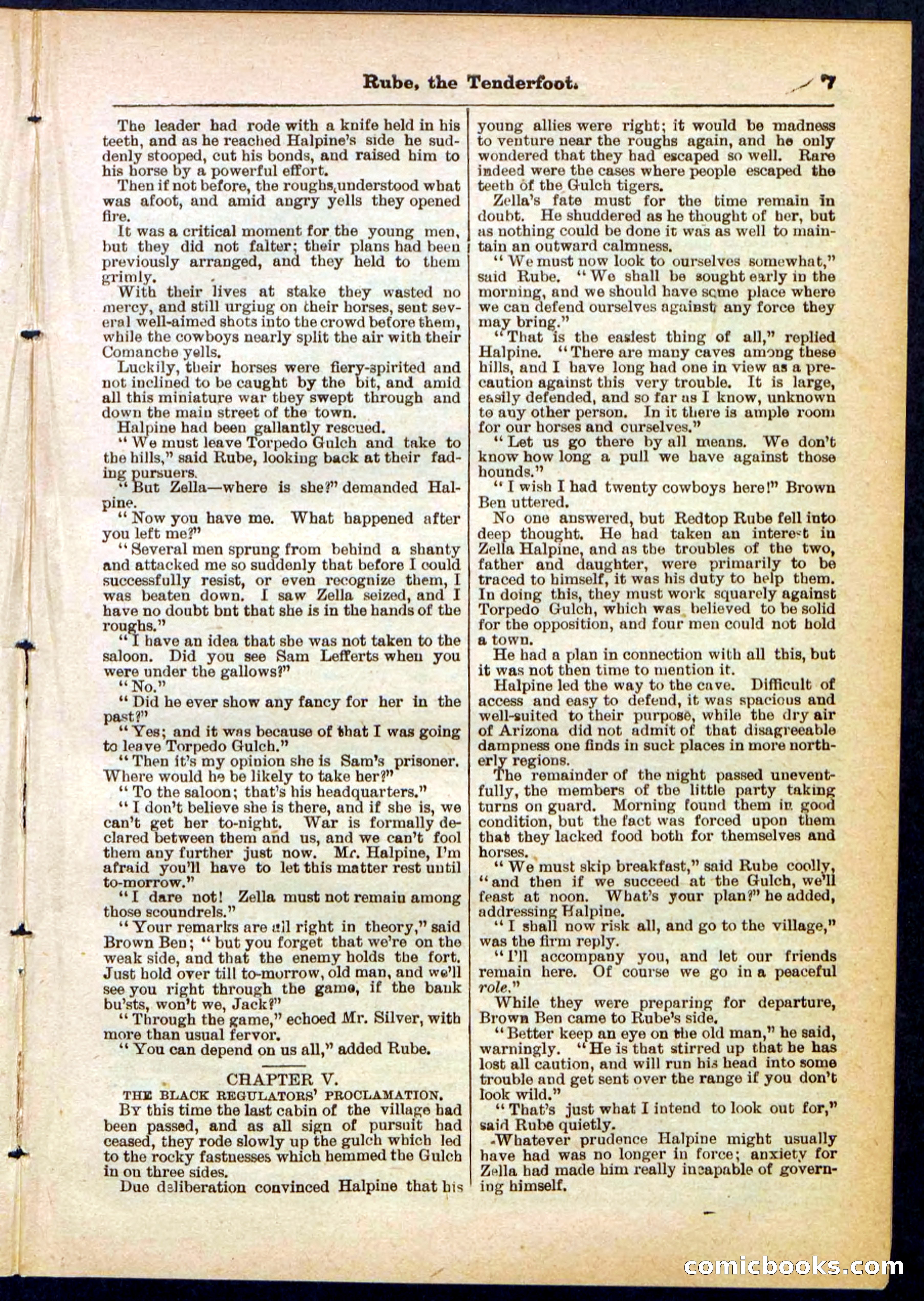 Beadle's Pocket Library No. 290 — page 7 of 32