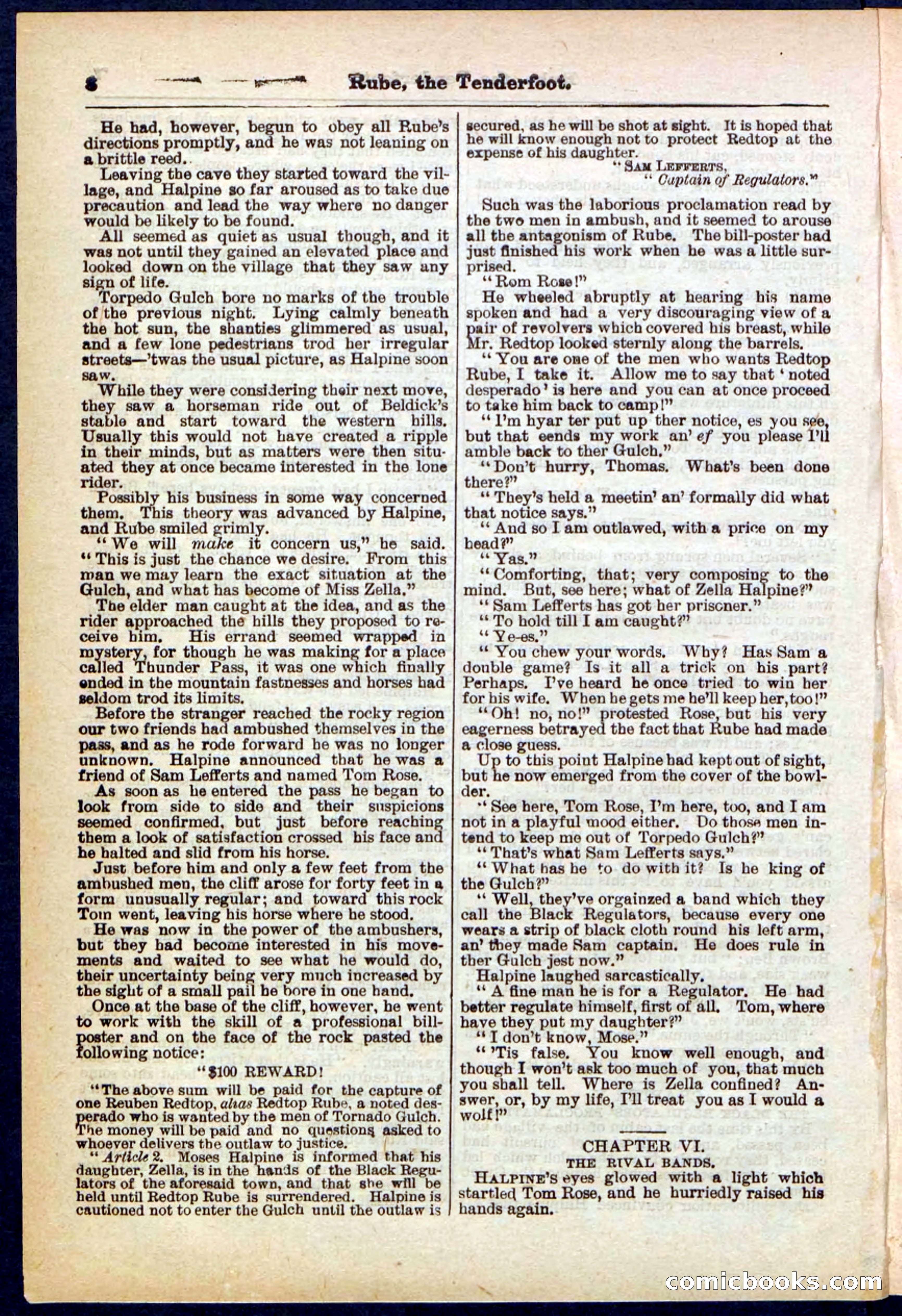 Beadle's Pocket Library No. 290 — page 8 of 32