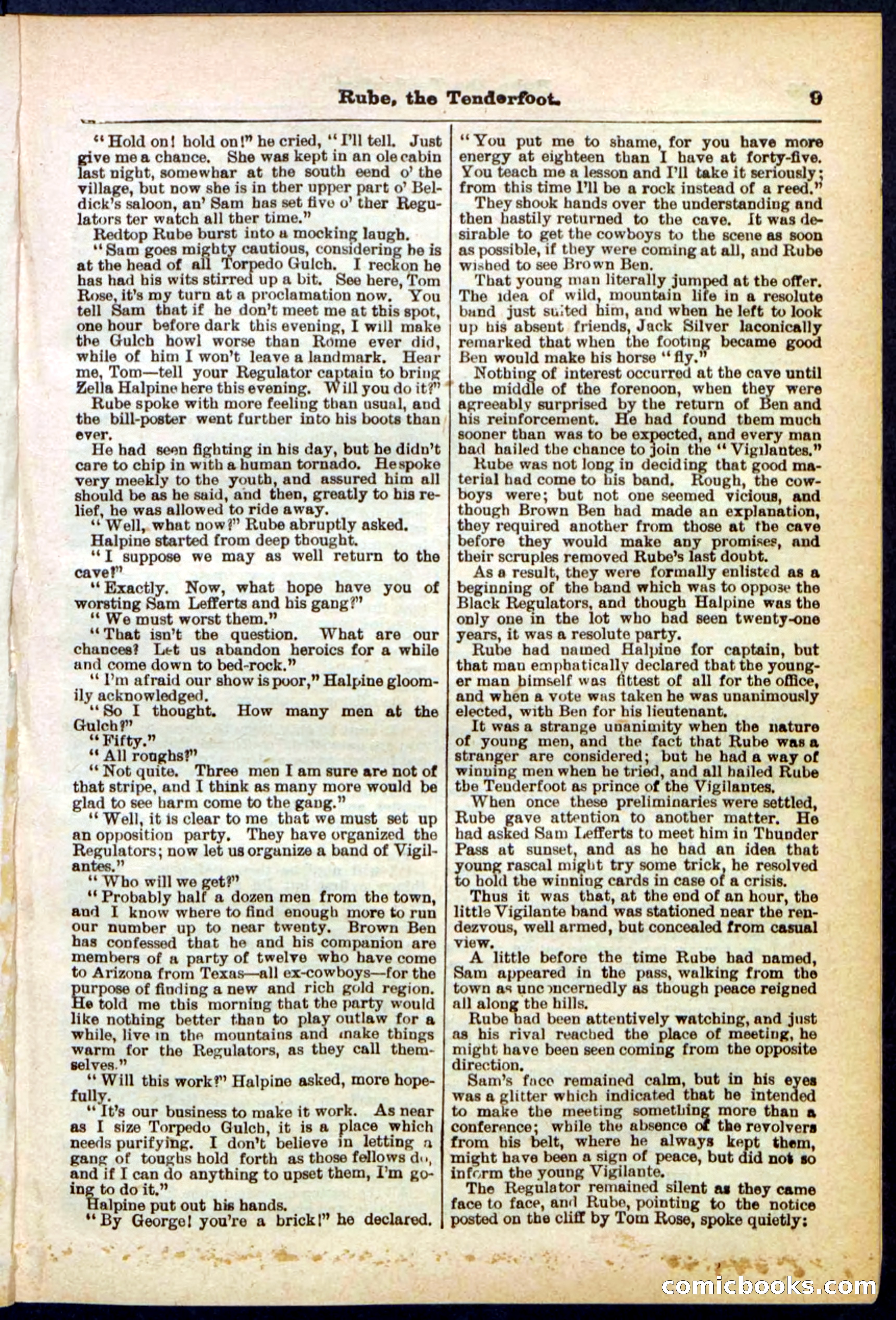 Beadle's Pocket Library No. 290 — page 9 of 32