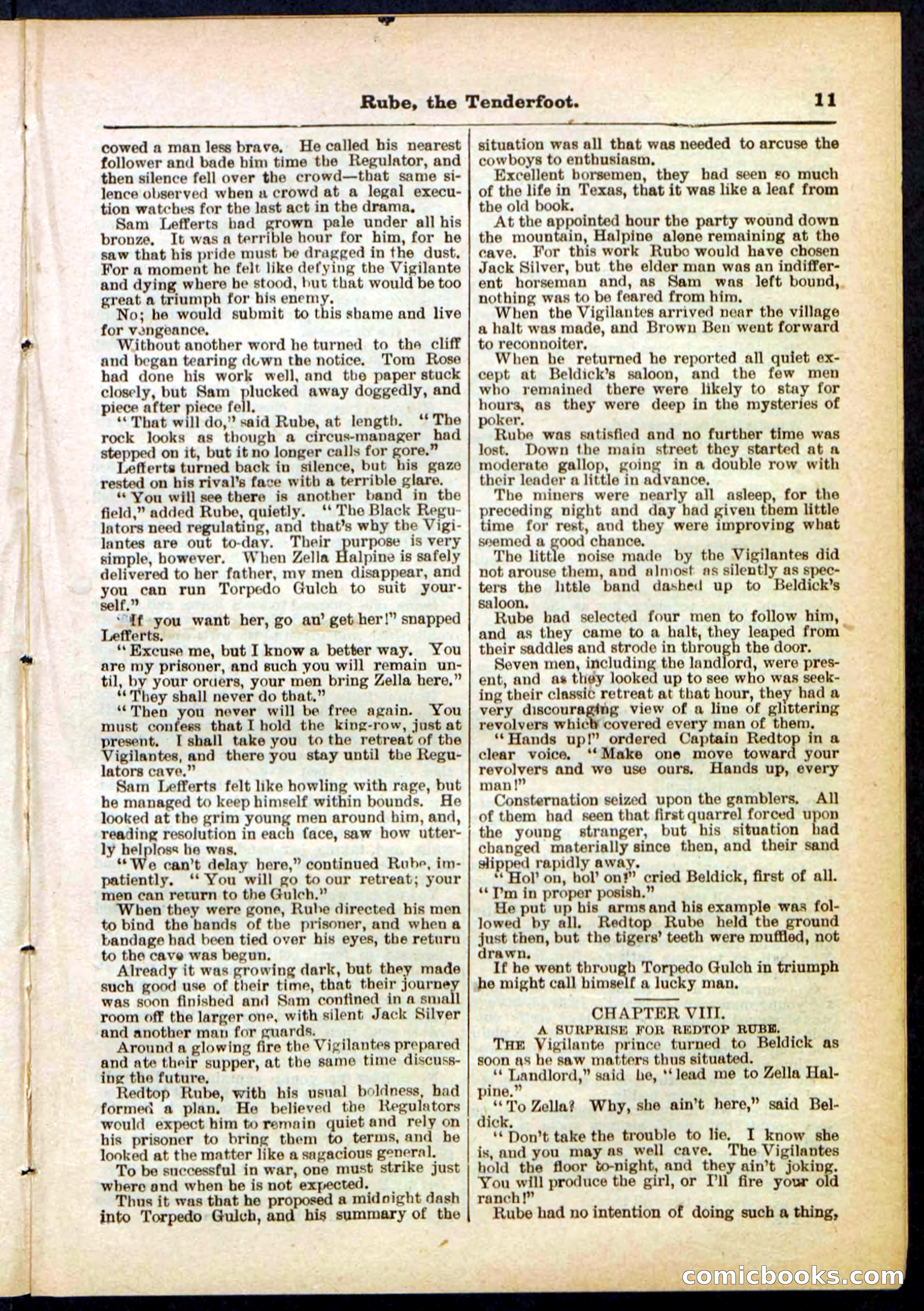 Beadle's Pocket Library No. 290 — page 11 of 32