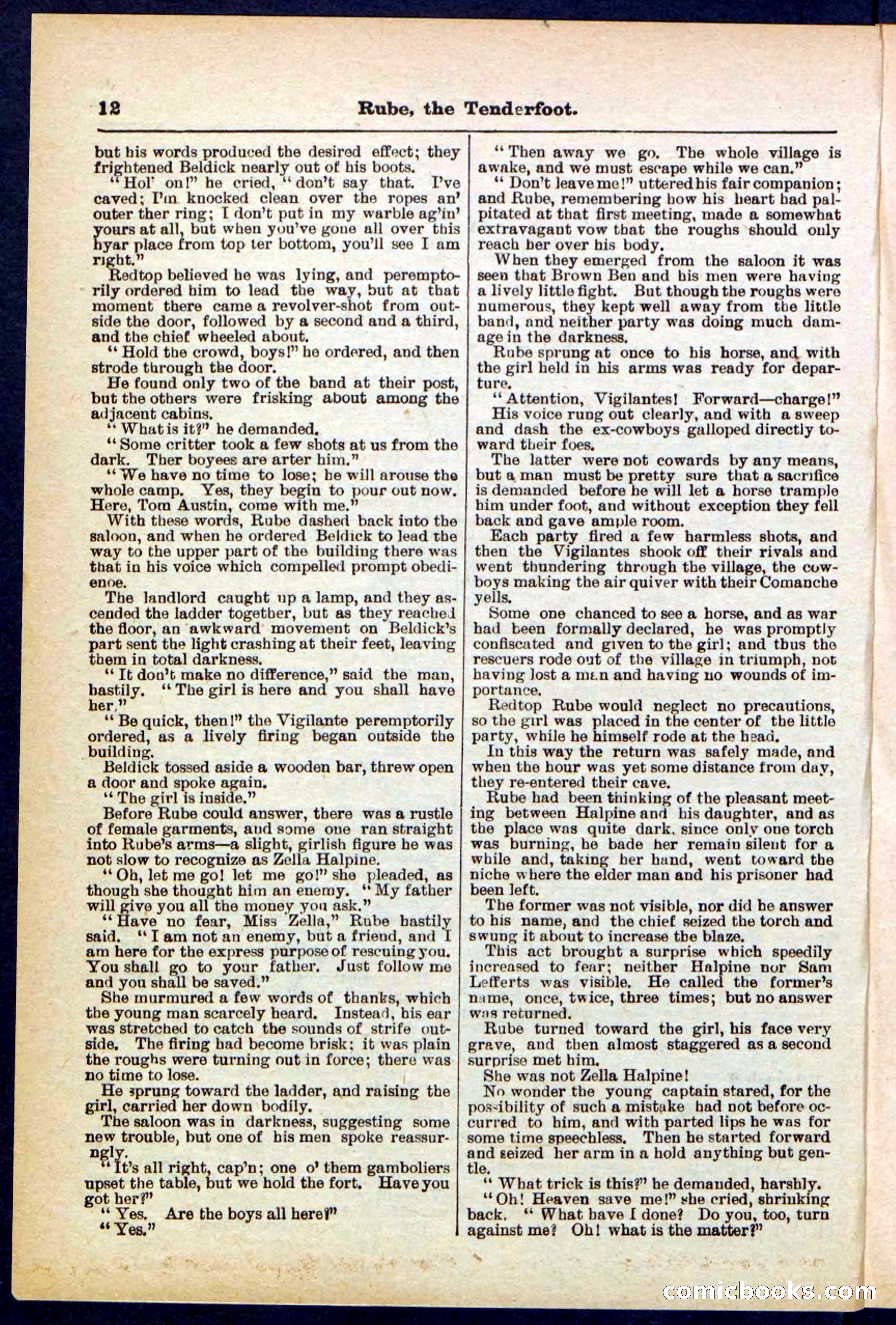 Beadle's Pocket Library No. 290 — page 12 of 32