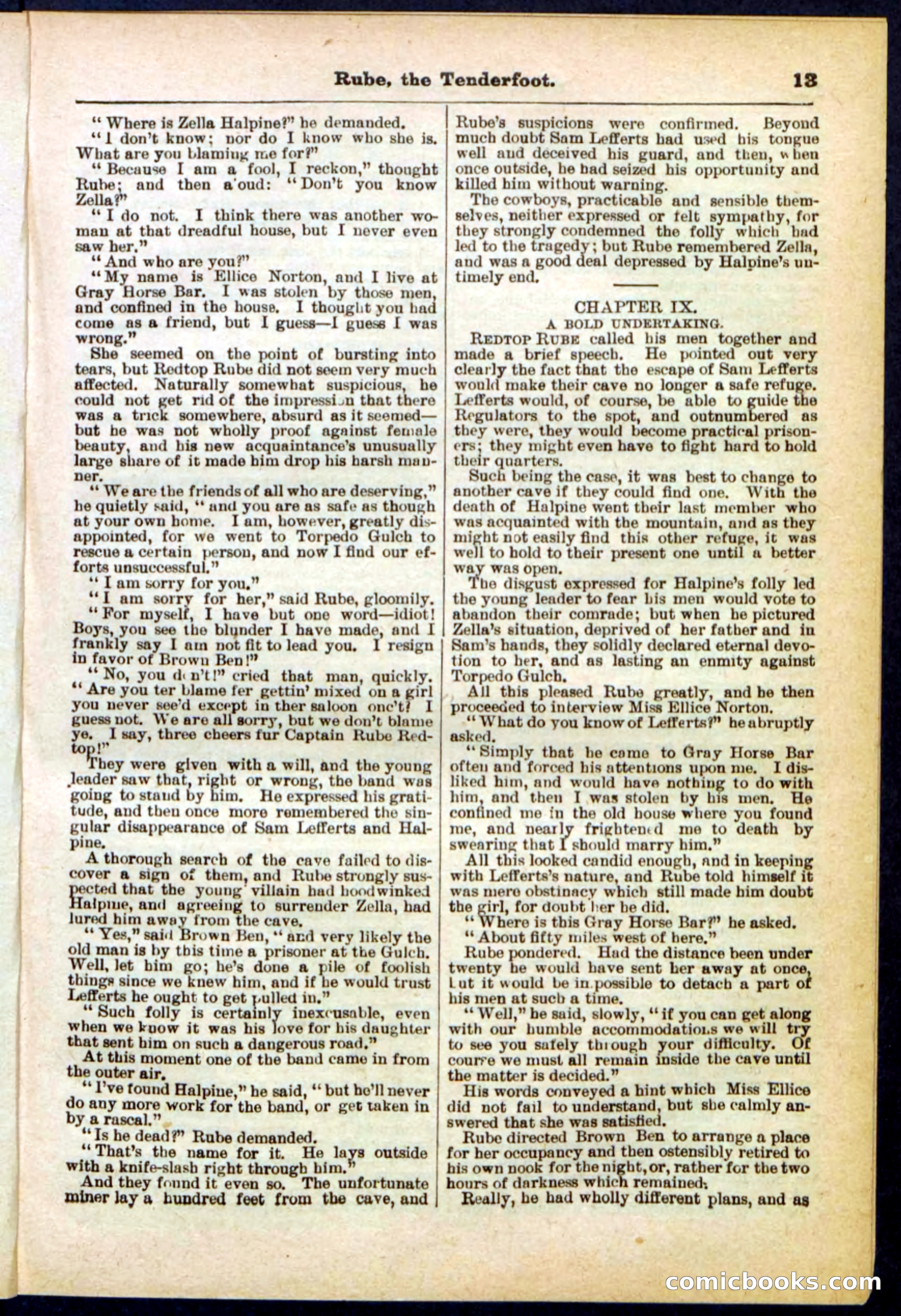 Beadle's Pocket Library No. 290 — page 13 of 32
