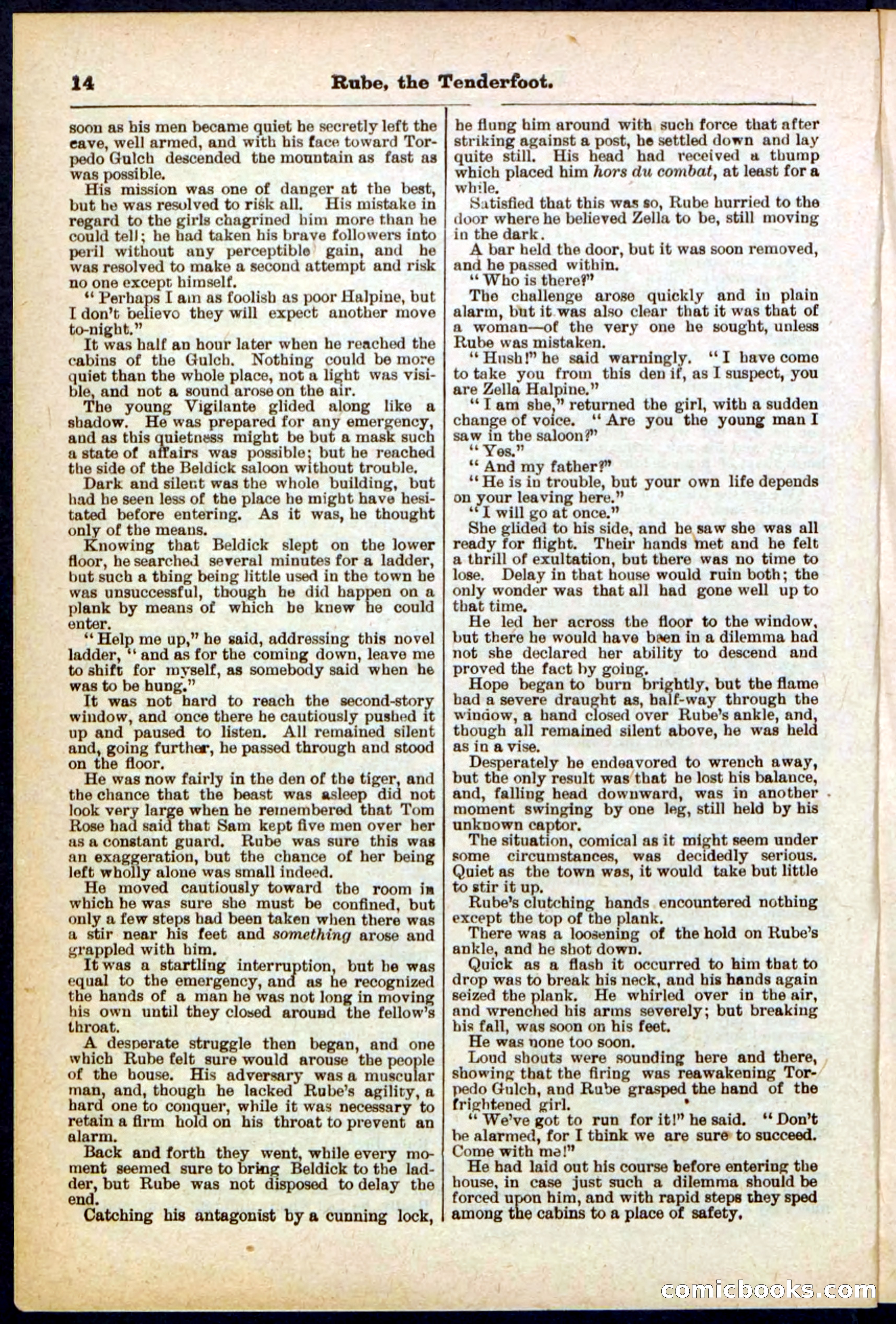 Beadle's Pocket Library No. 290 — page 14 of 32
