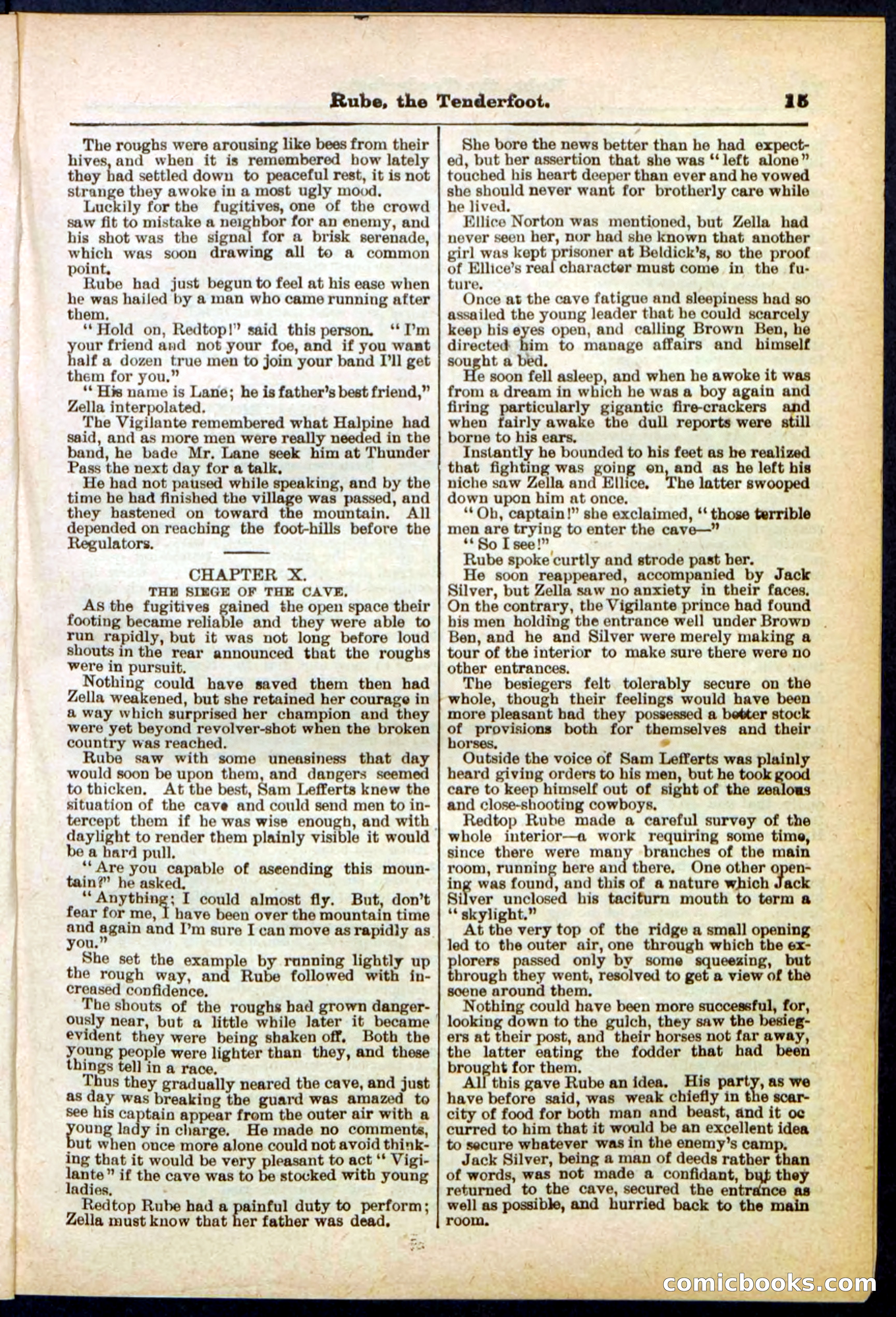Beadle's Pocket Library No. 290 — page 15 of 32