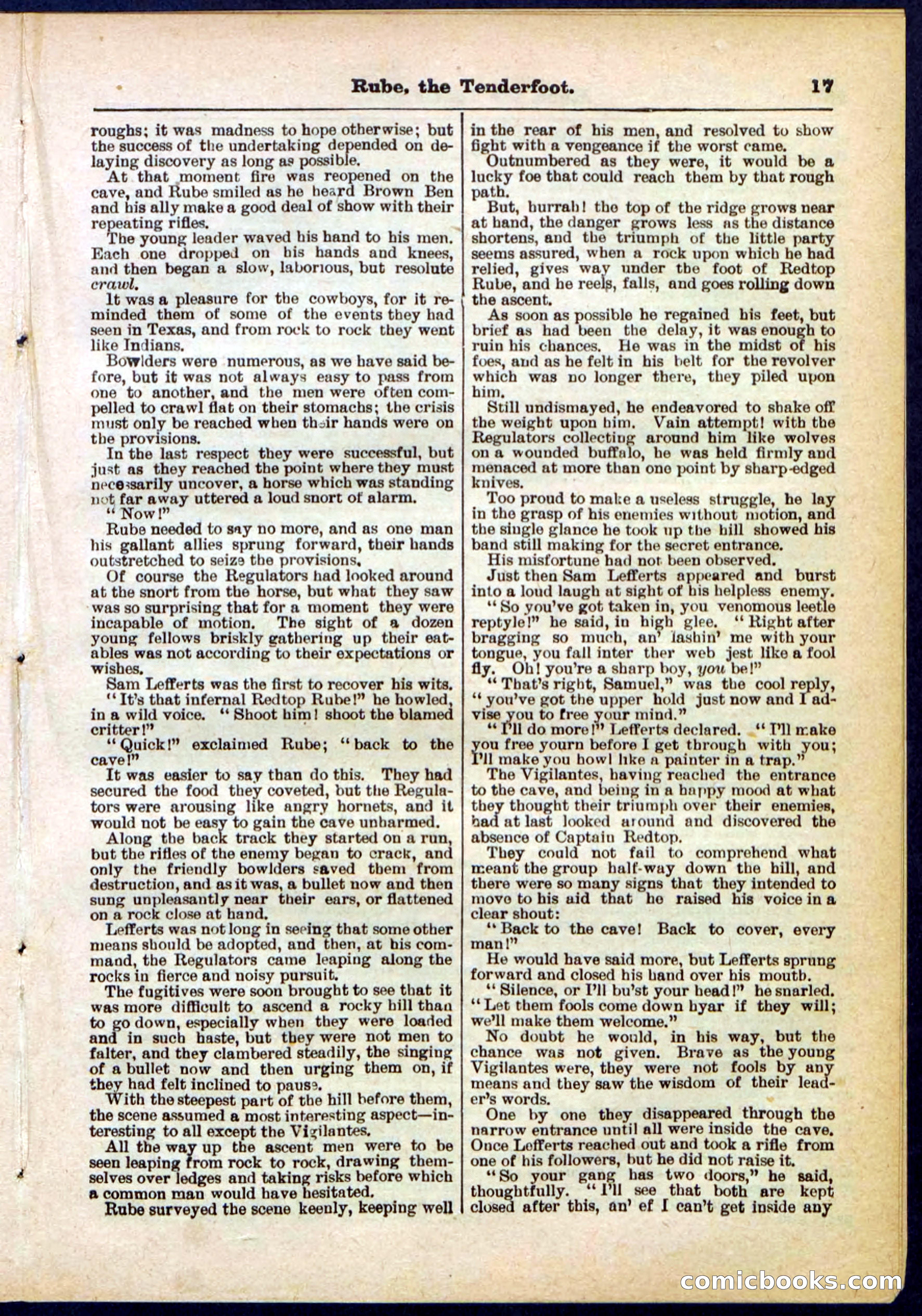 Beadle's Pocket Library No. 290 — page 17 of 32