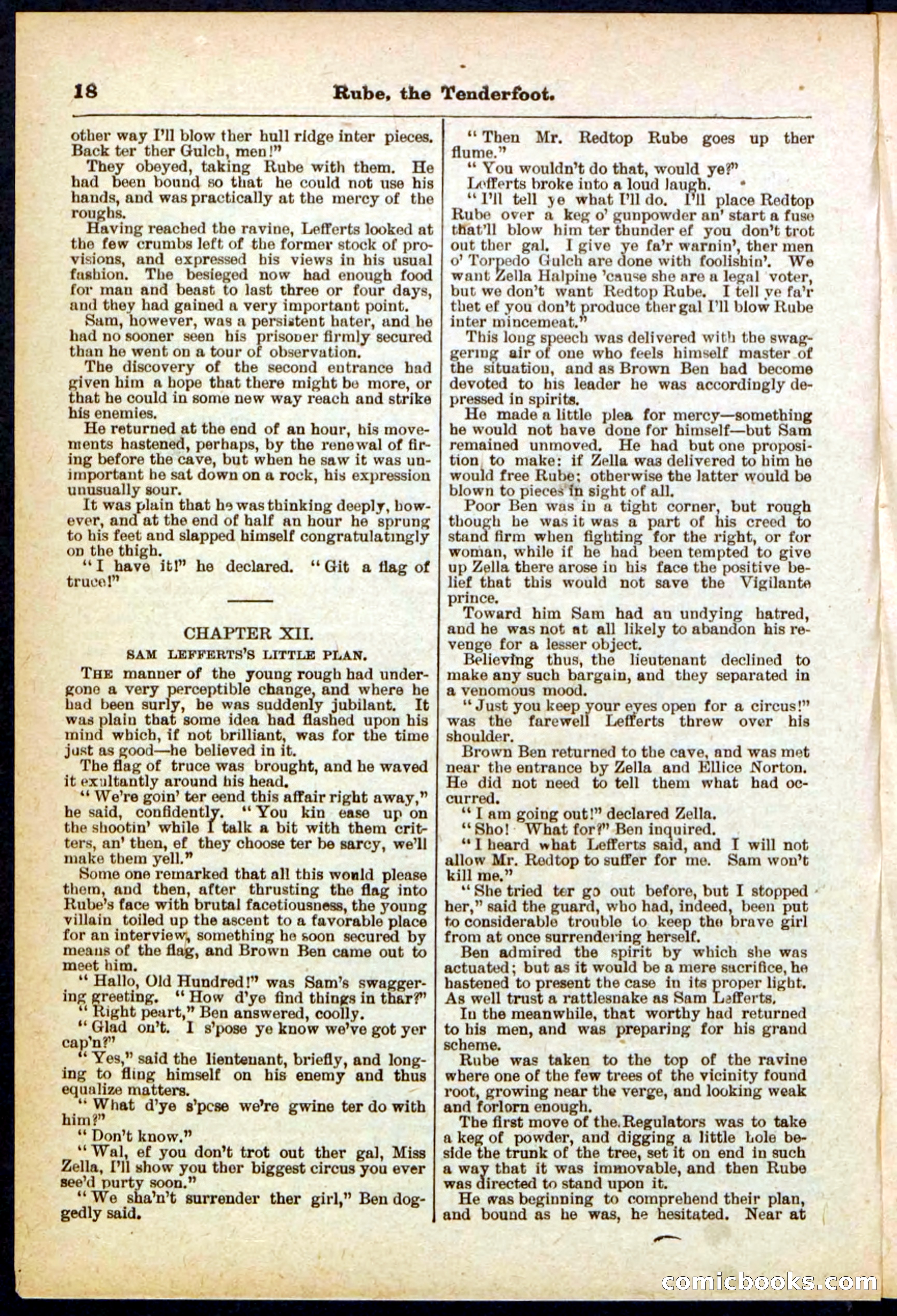 Beadle's Pocket Library No. 290 — page 18 of 32