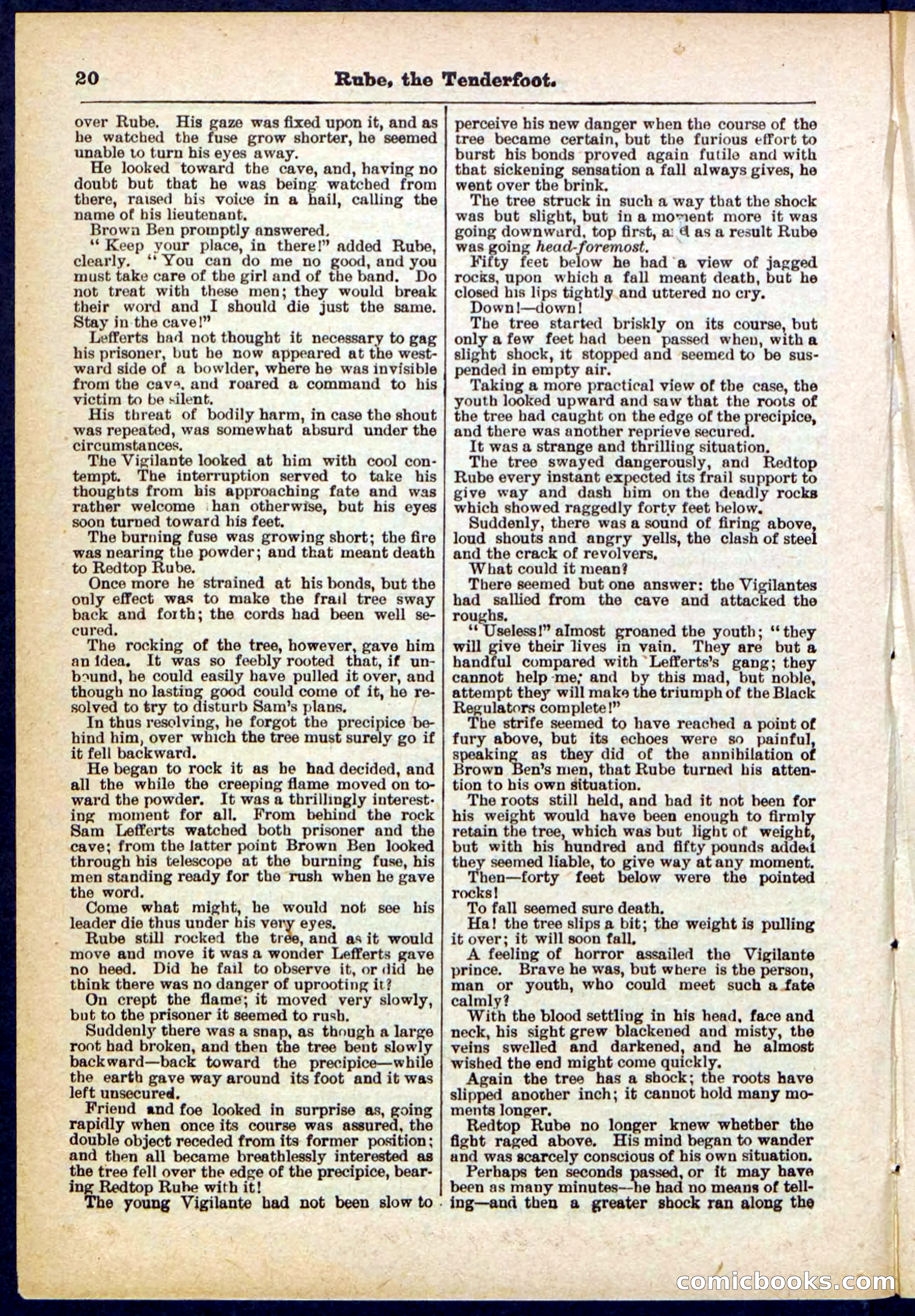 Beadle's Pocket Library No. 290 — page 20 of 32