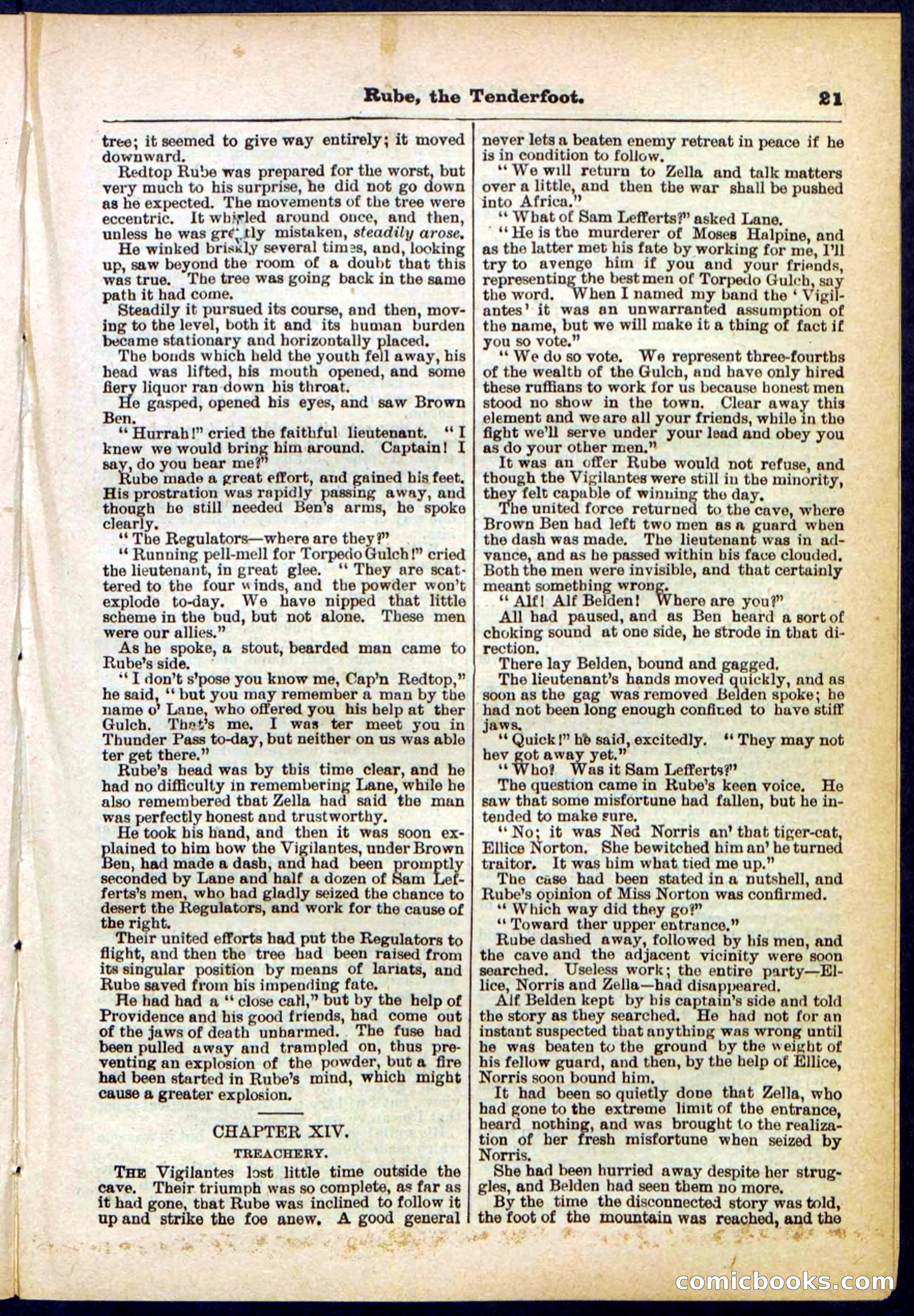 Beadle's Pocket Library No. 290 — page 21 of 32