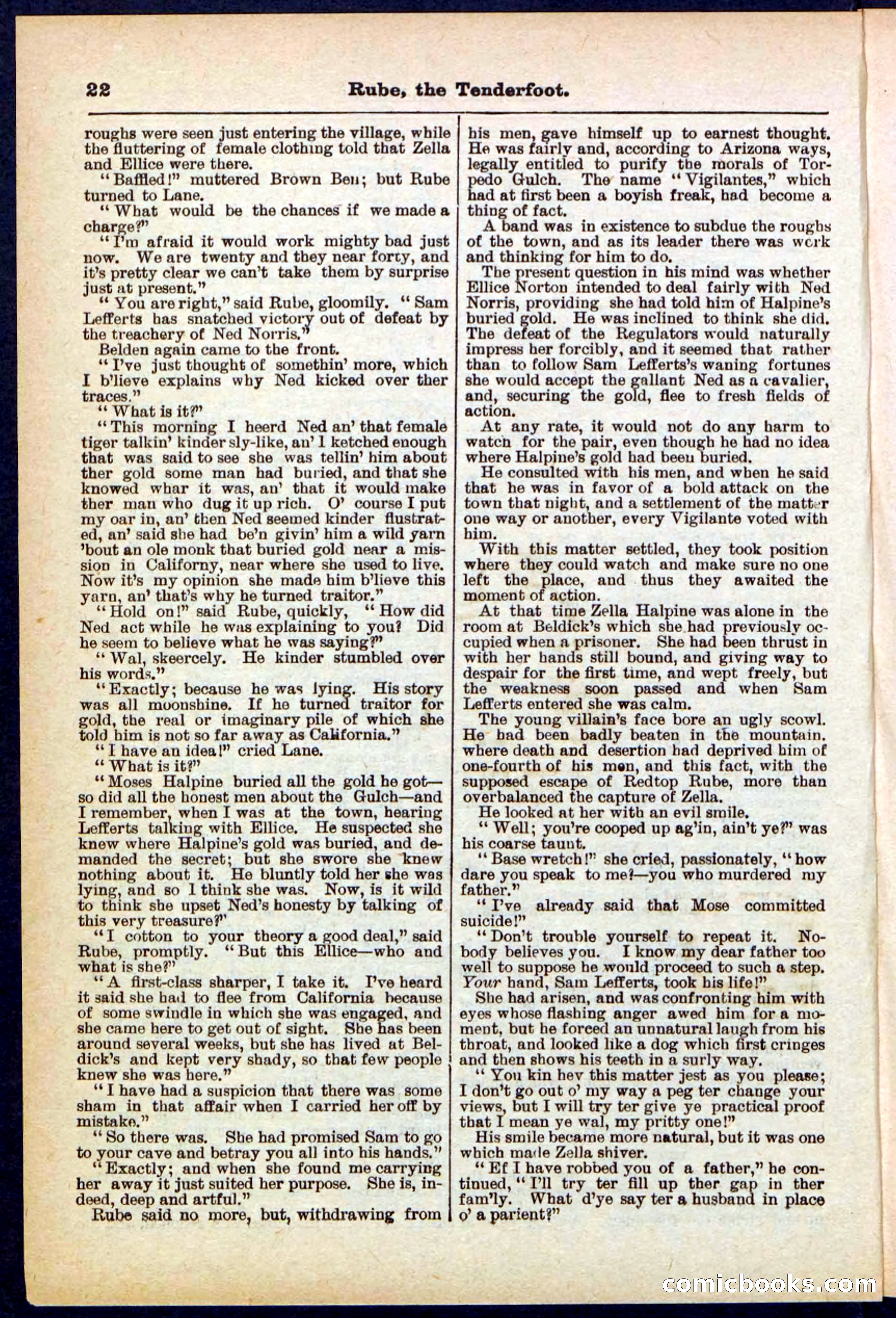 Beadle's Pocket Library No. 290 — page 22 of 32