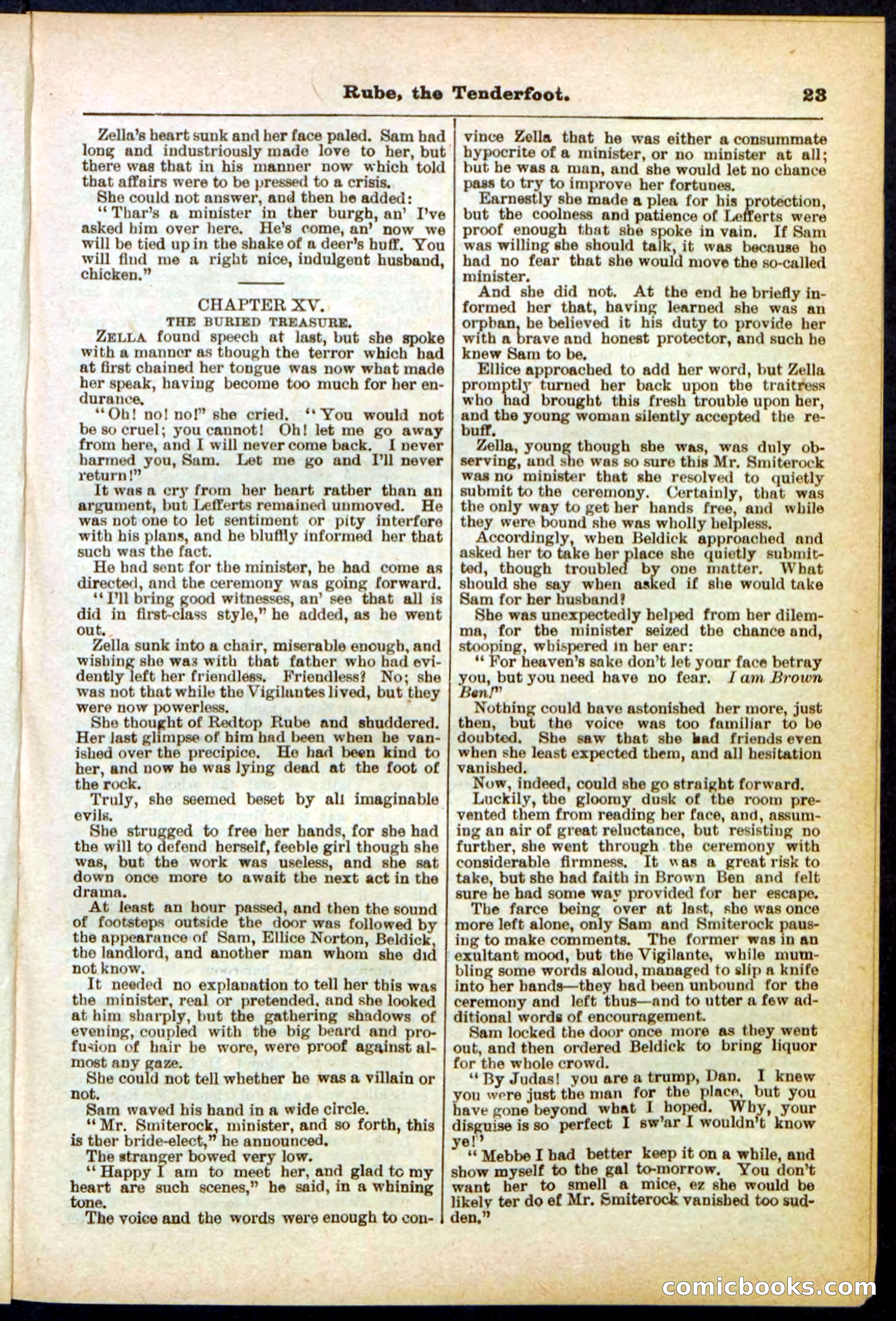 Beadle's Pocket Library No. 290 — page 23 of 32