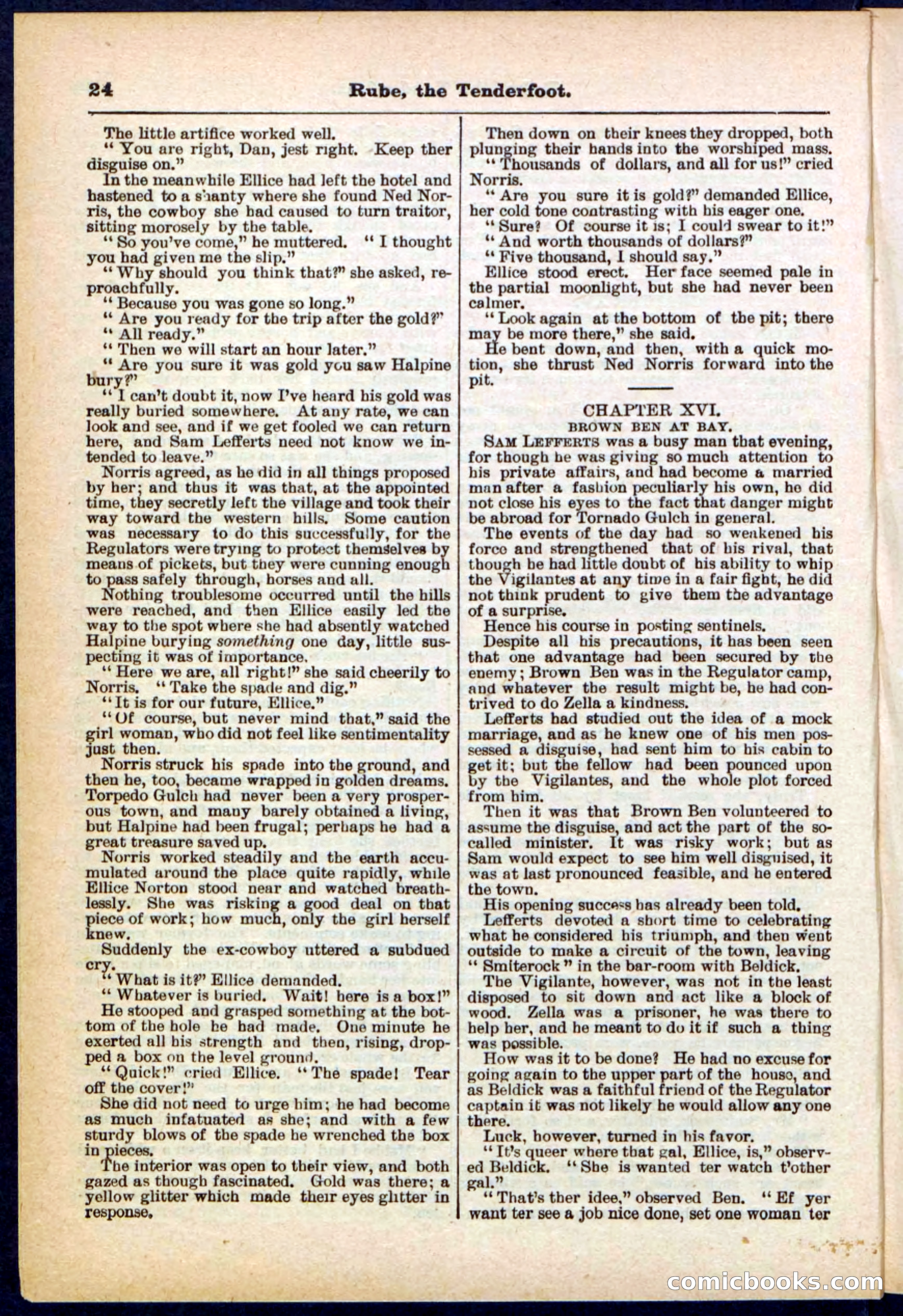 Beadle's Pocket Library No. 290 — page 24 of 32