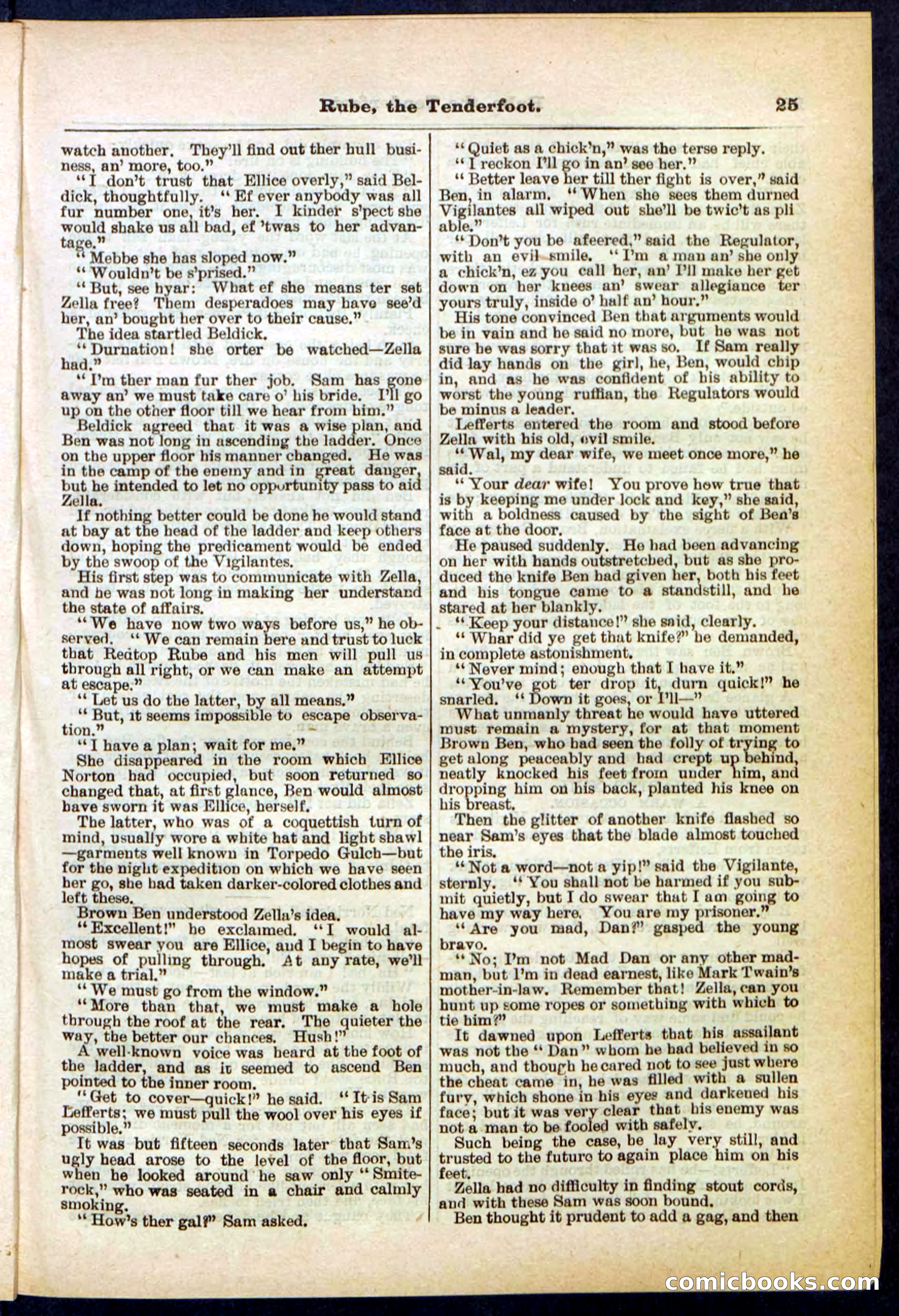 Beadle's Pocket Library No. 290 — page 25 of 32