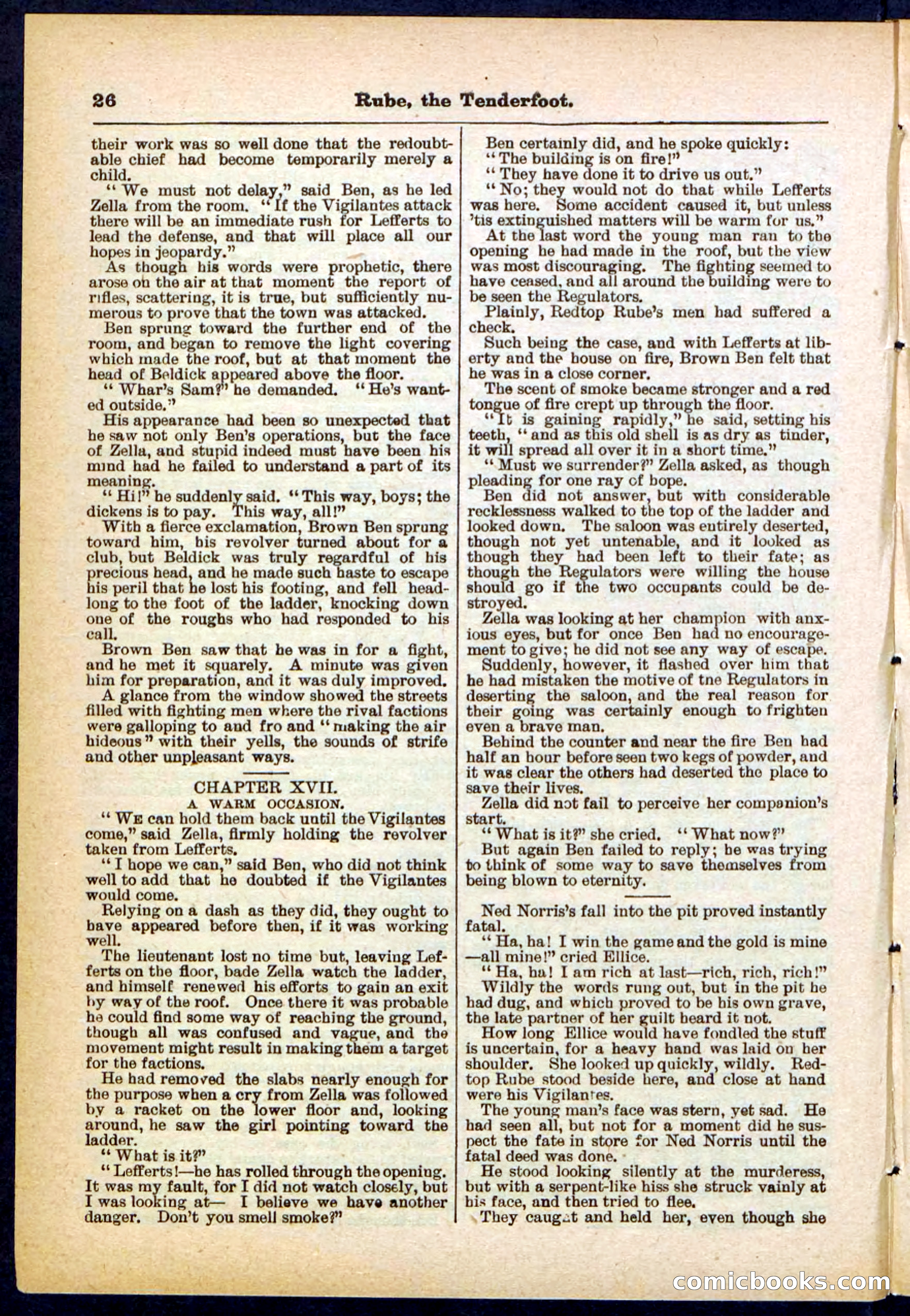 Beadle's Pocket Library No. 290 — page 26 of 32