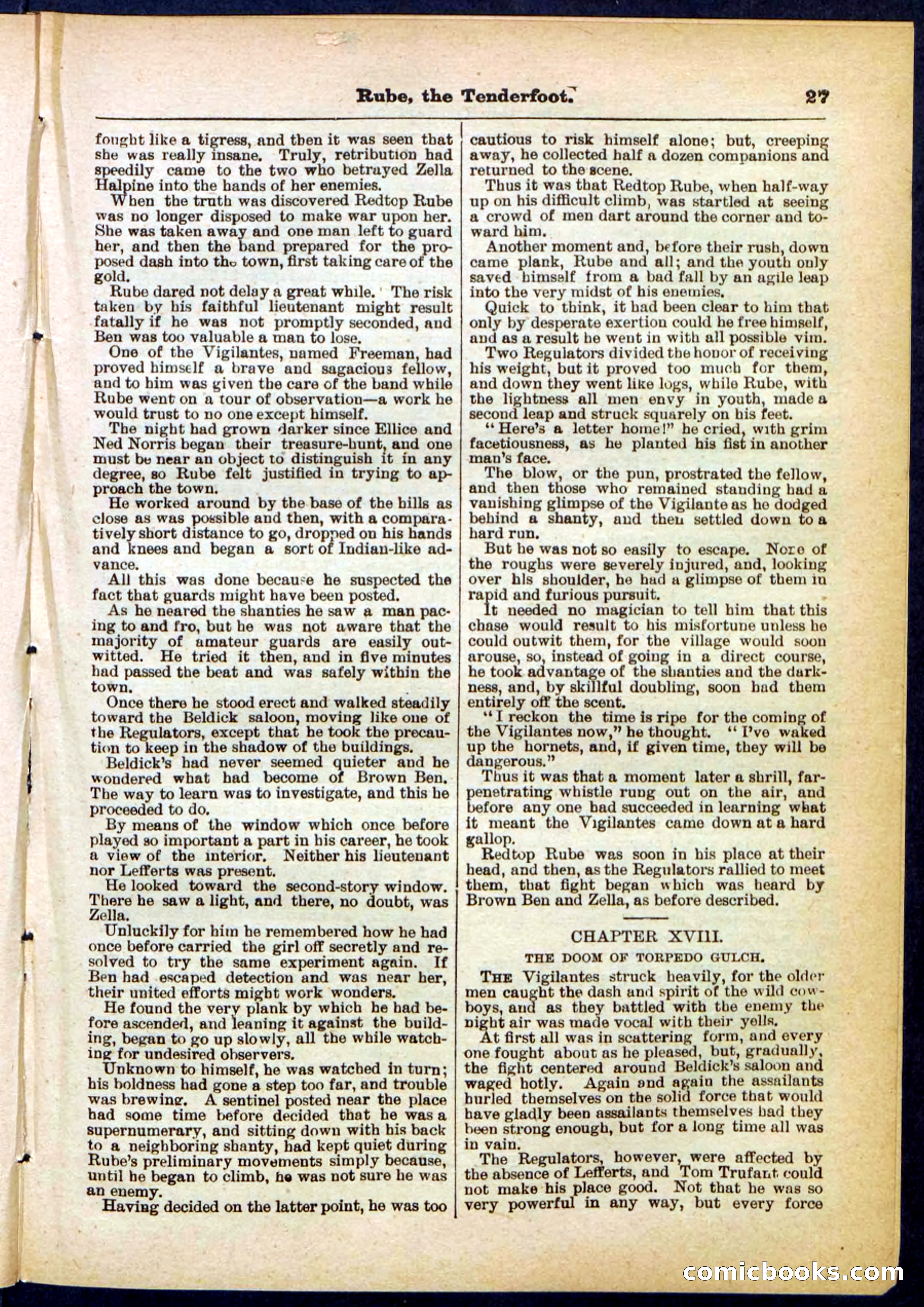 Beadle's Pocket Library No. 290 — page 27 of 32