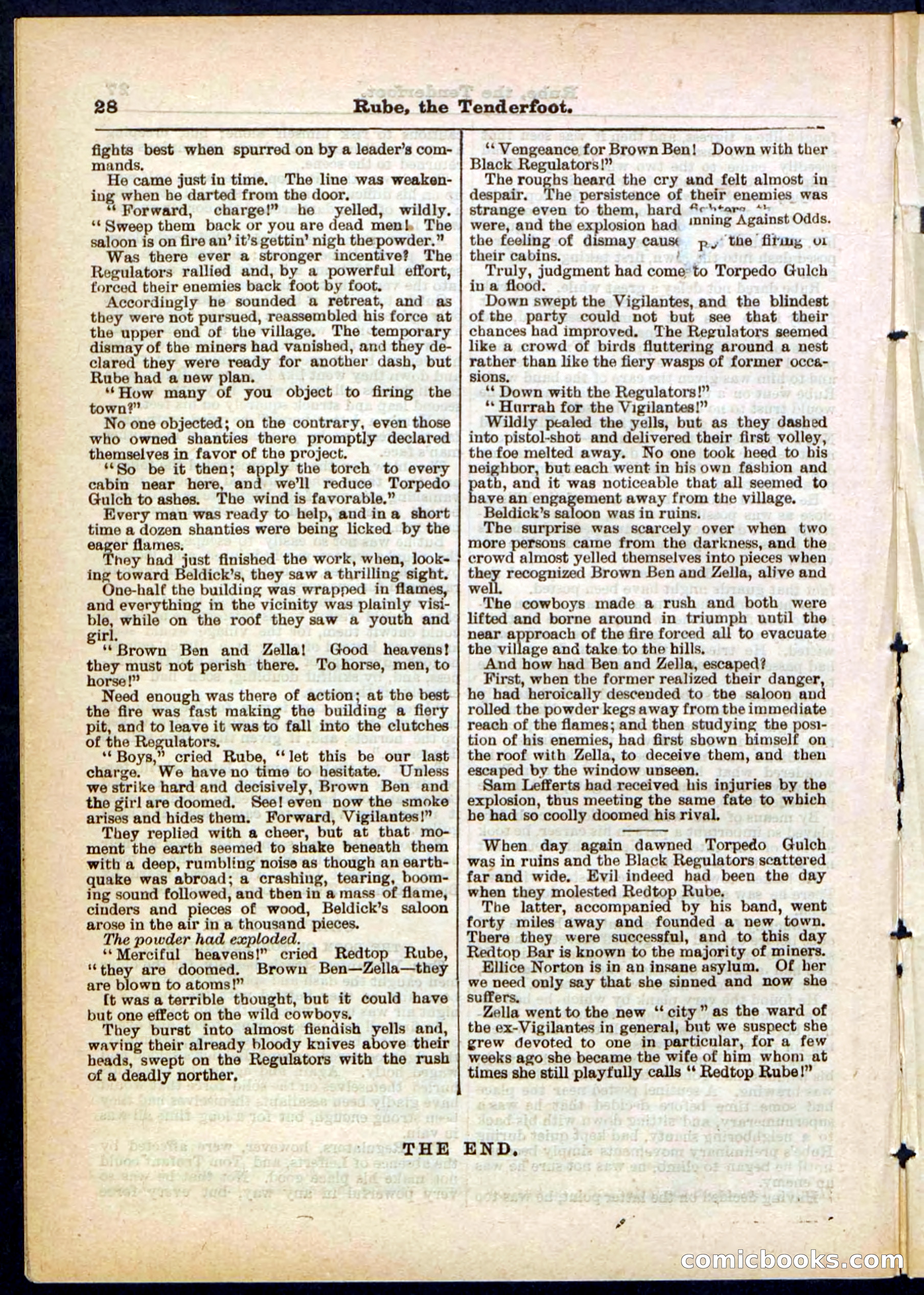 Beadle's Pocket Library No. 290 — page 28 of 32