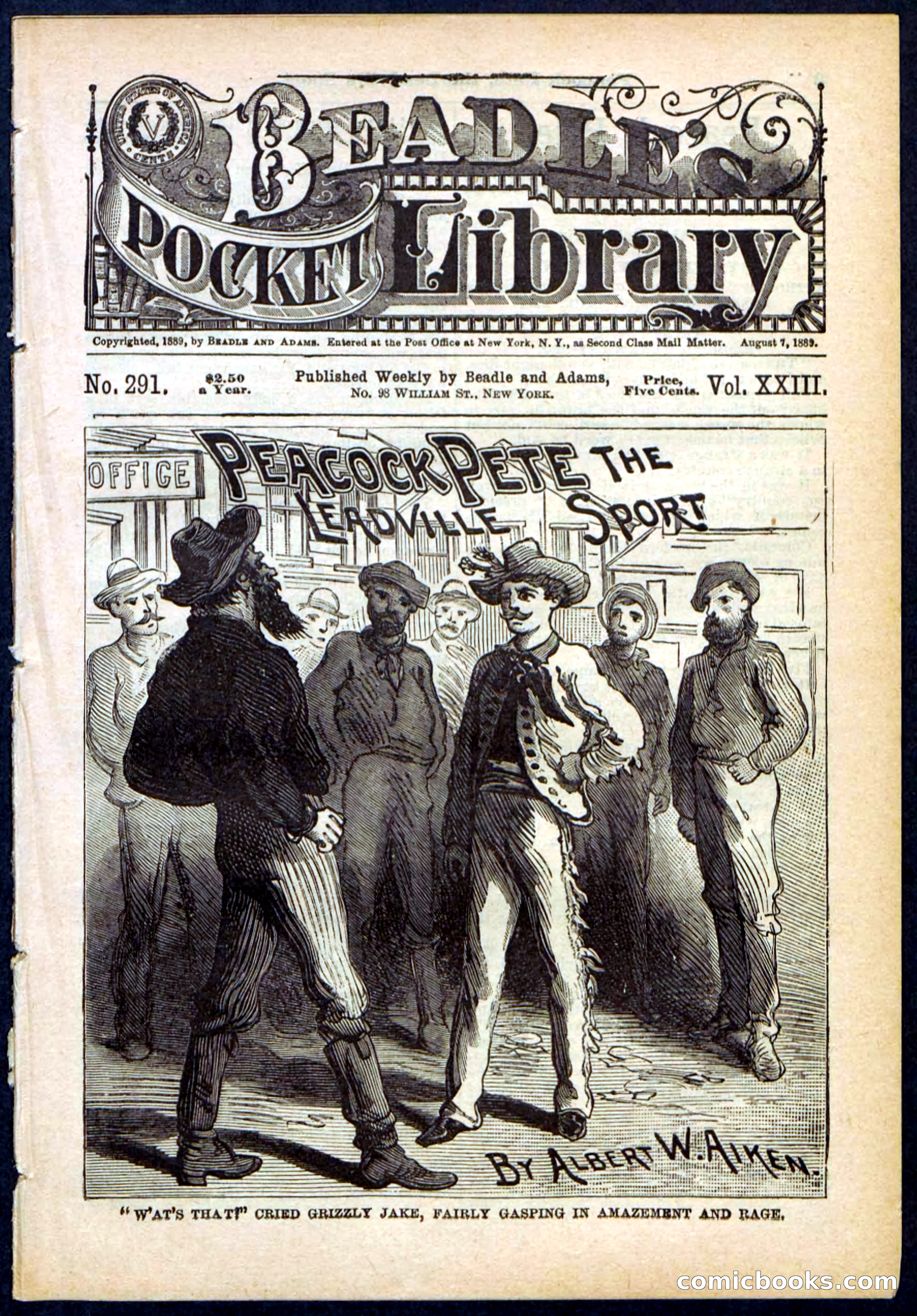 Beadle's Pocket Library No. 291 — page 1 of 32