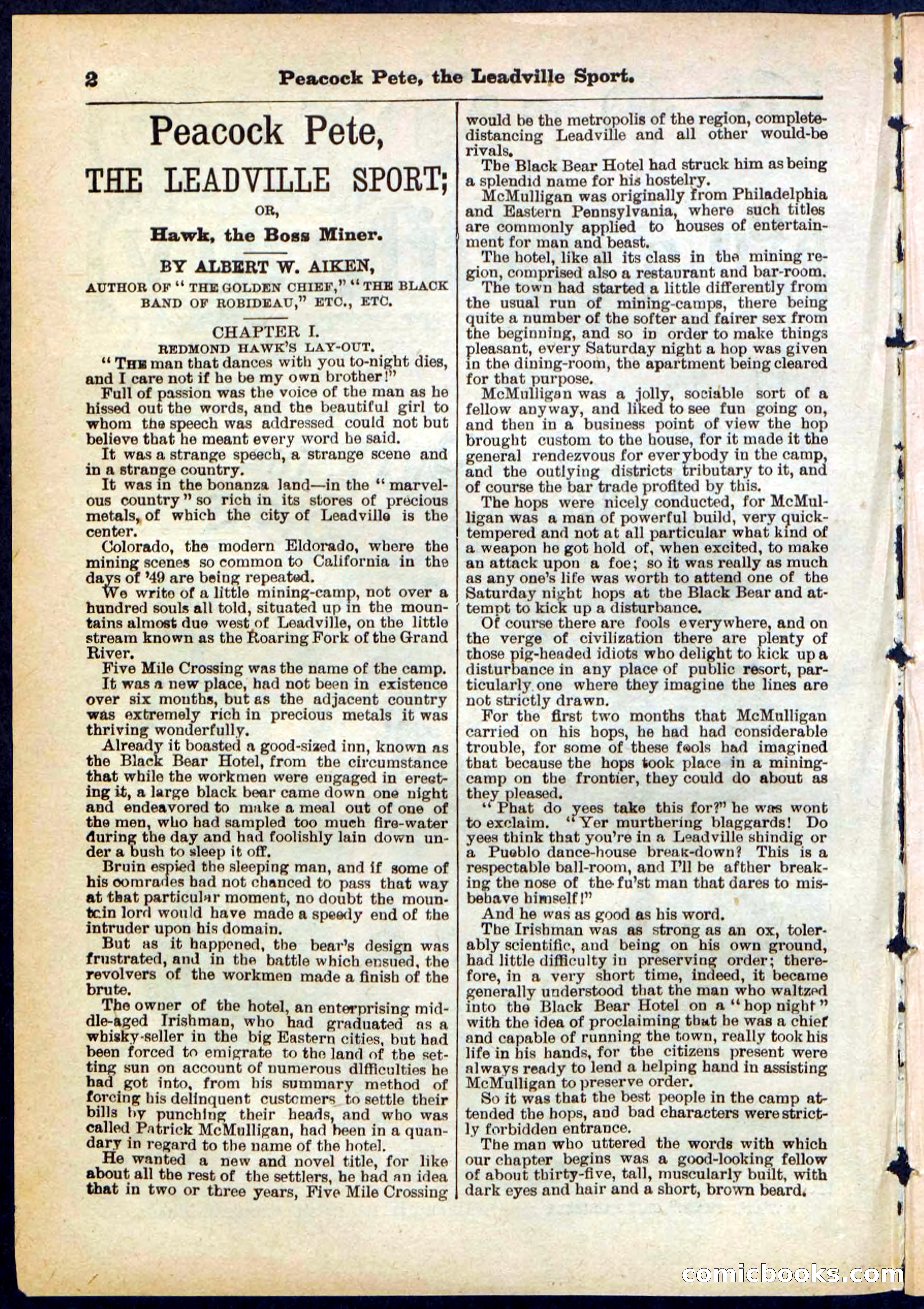 Beadle's Pocket Library No. 291 — page 2 of 32
