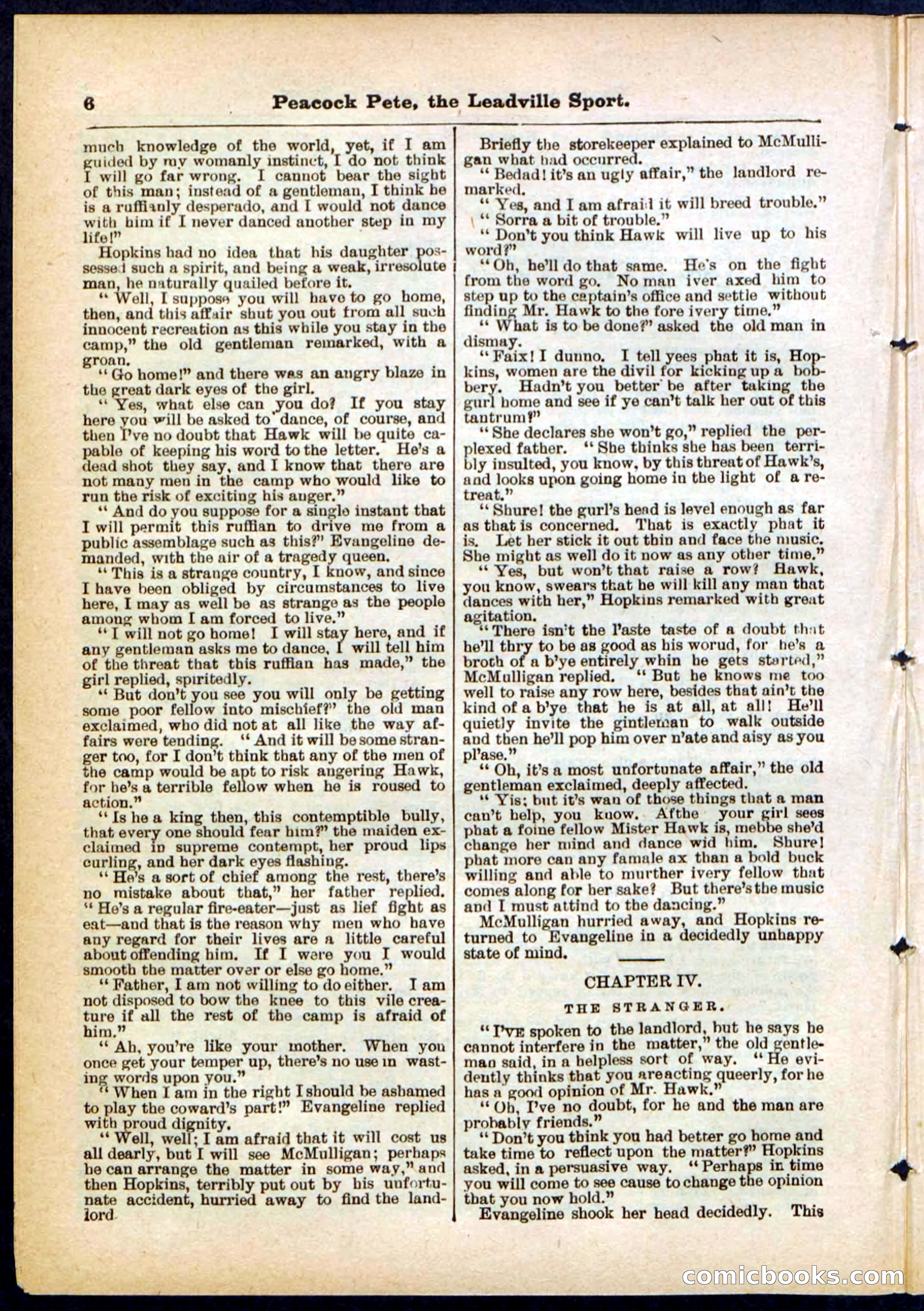 Beadle's Pocket Library No. 291 — page 6 of 32