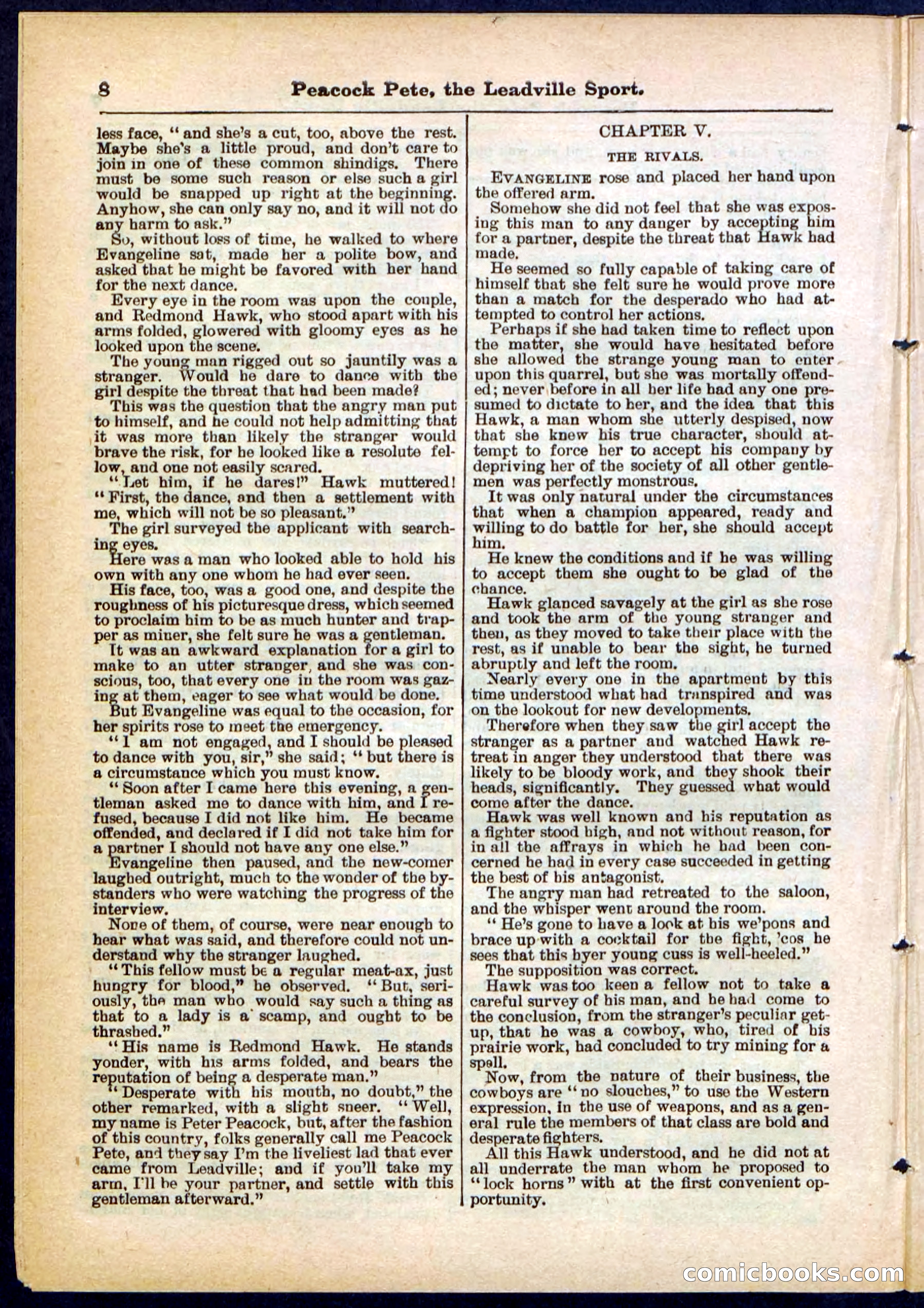Beadle's Pocket Library No. 291 — page 8 of 32