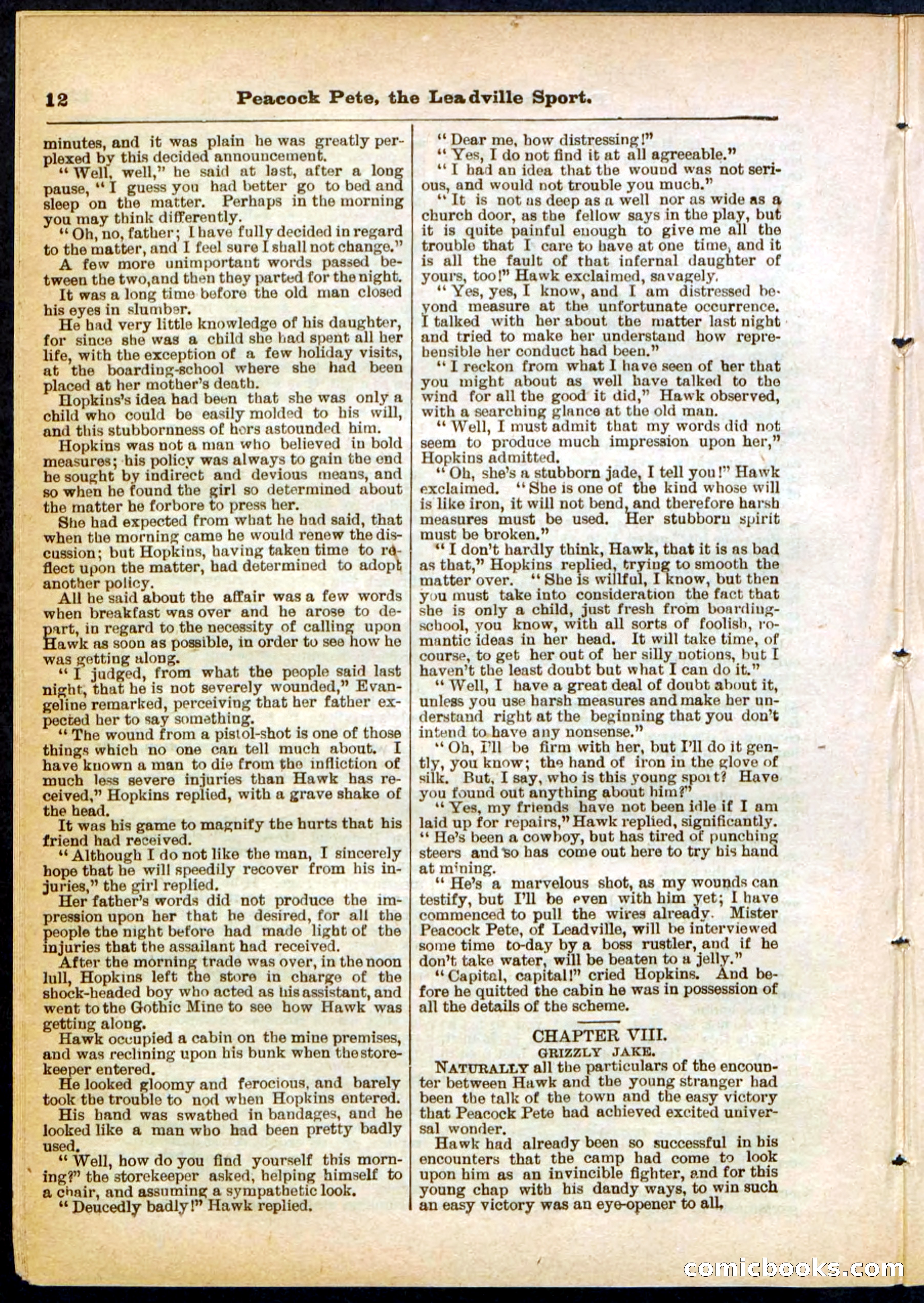 Beadle's Pocket Library No. 291 — page 12 of 32