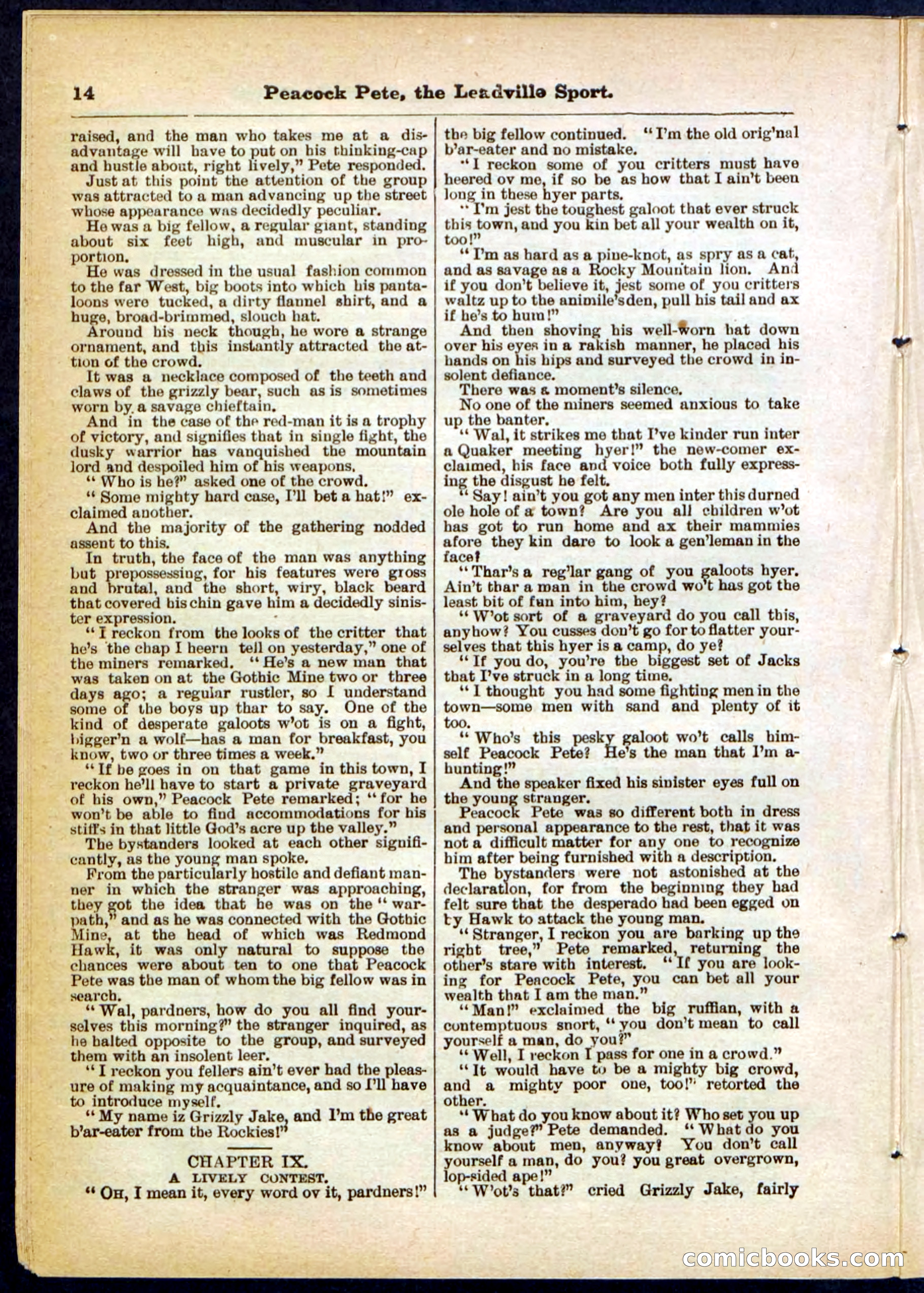 Beadle's Pocket Library No. 291 — page 14 of 32