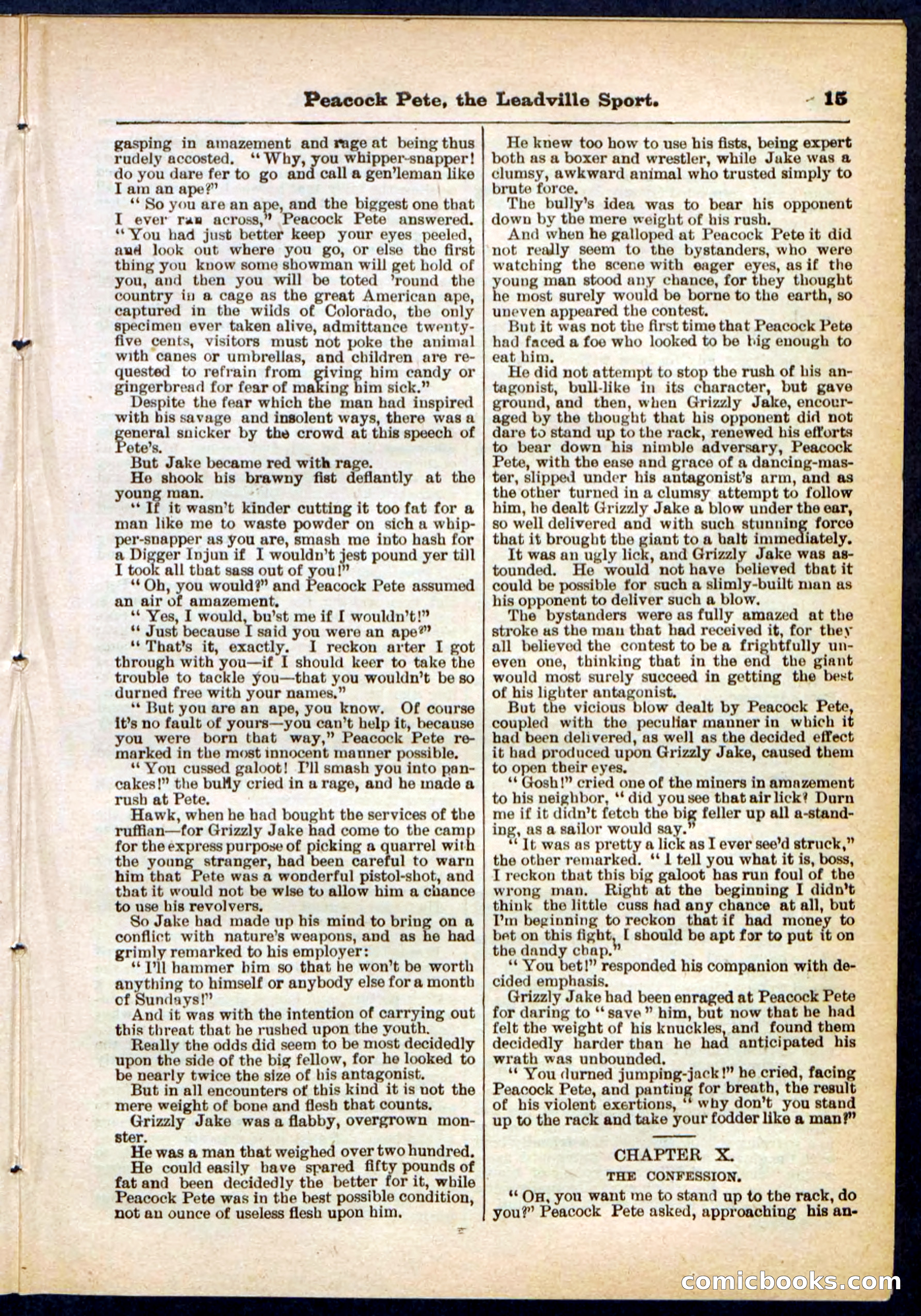 Beadle's Pocket Library No. 291 — page 15 of 32