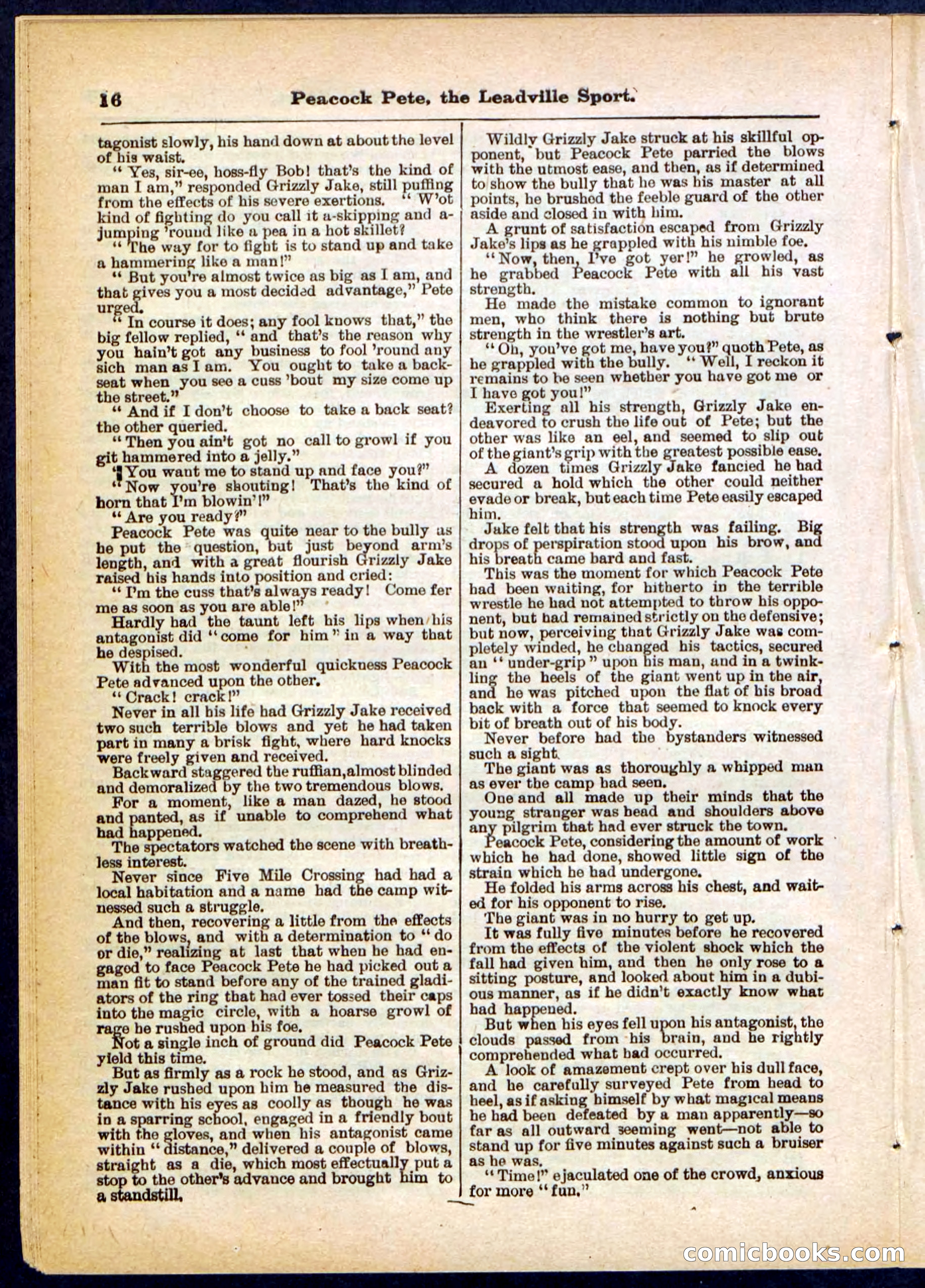 Beadle's Pocket Library No. 291 — page 16 of 32