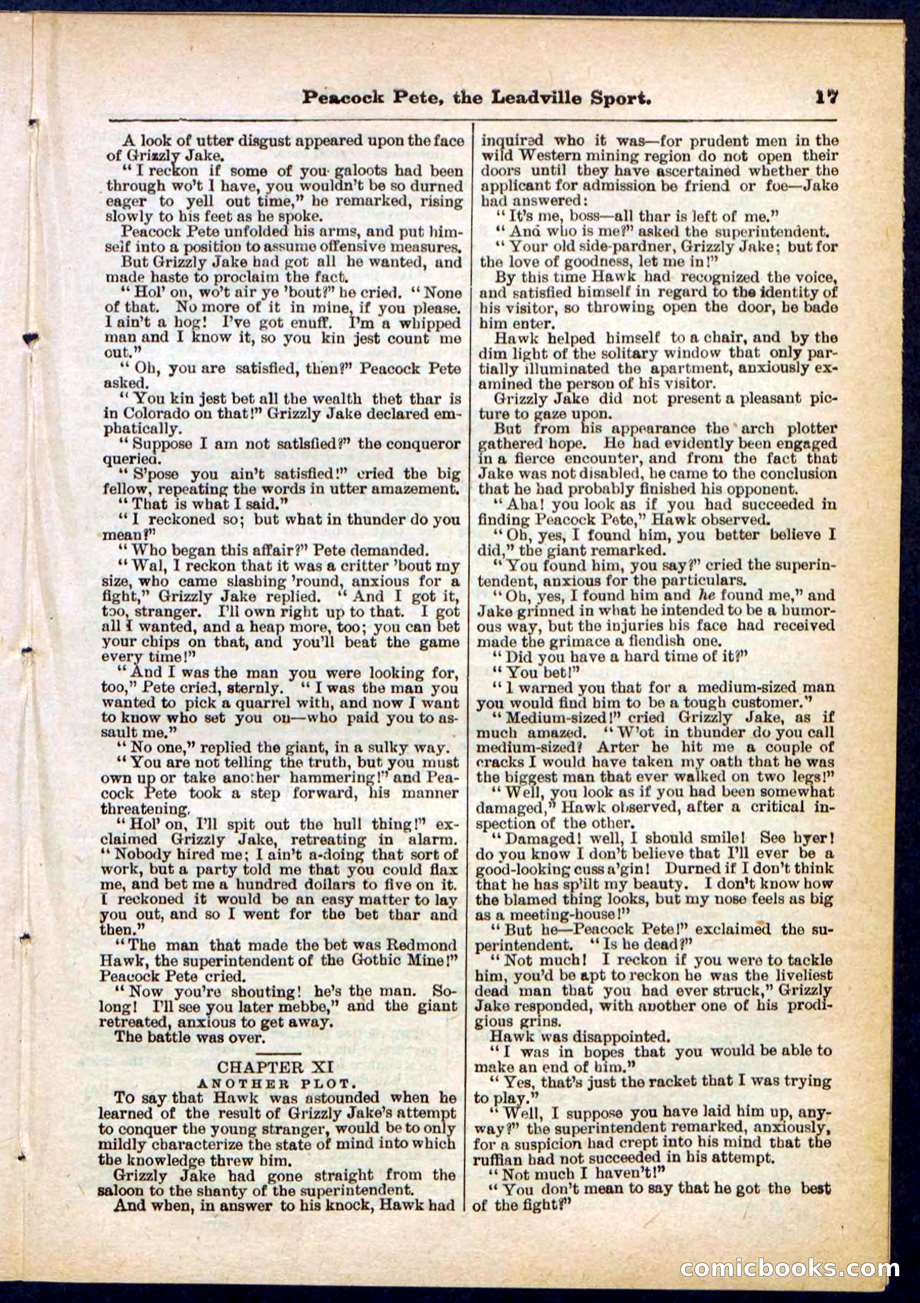 Beadle's Pocket Library No. 291 — page 17 of 32
