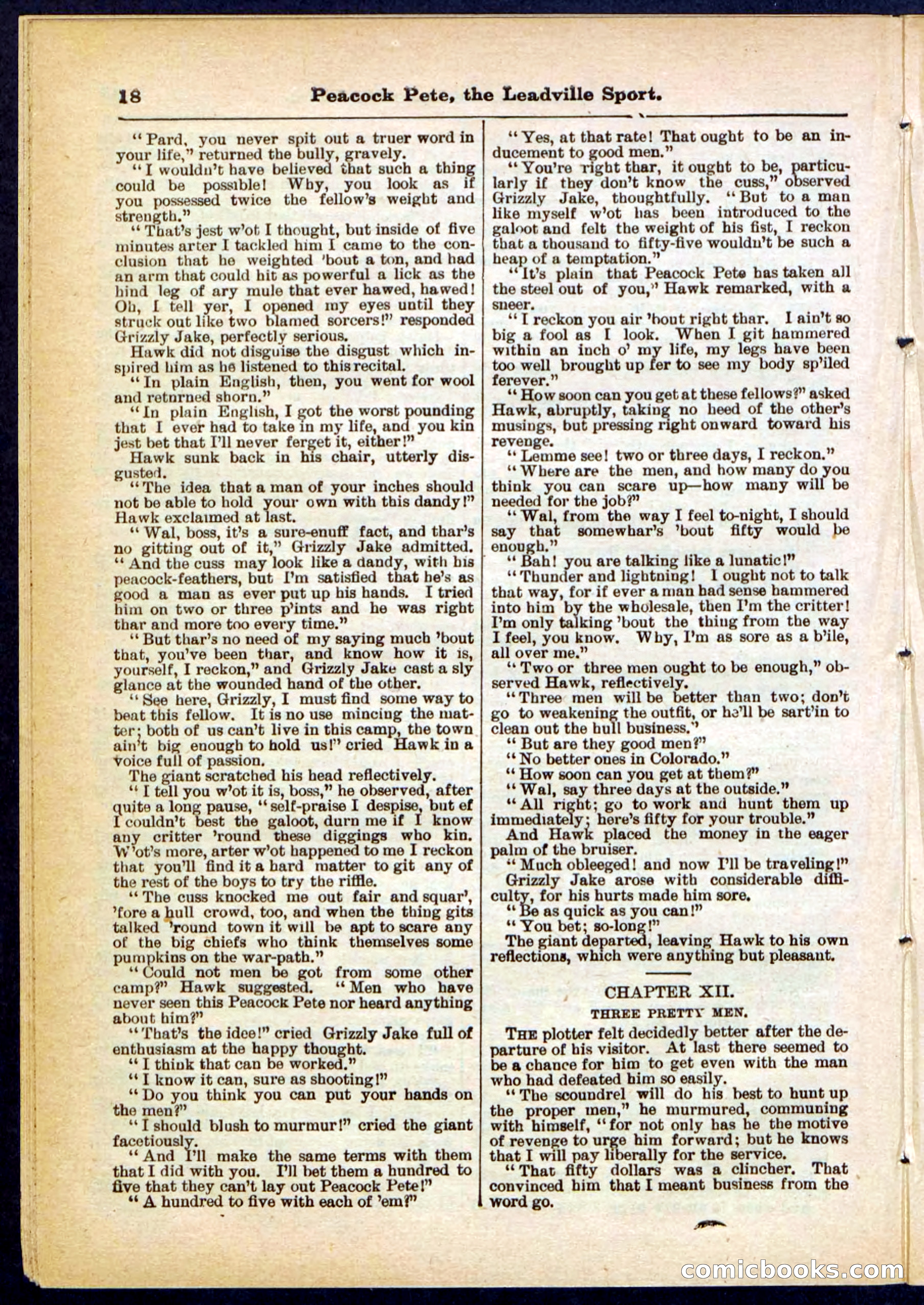Beadle's Pocket Library No. 291 — page 18 of 32