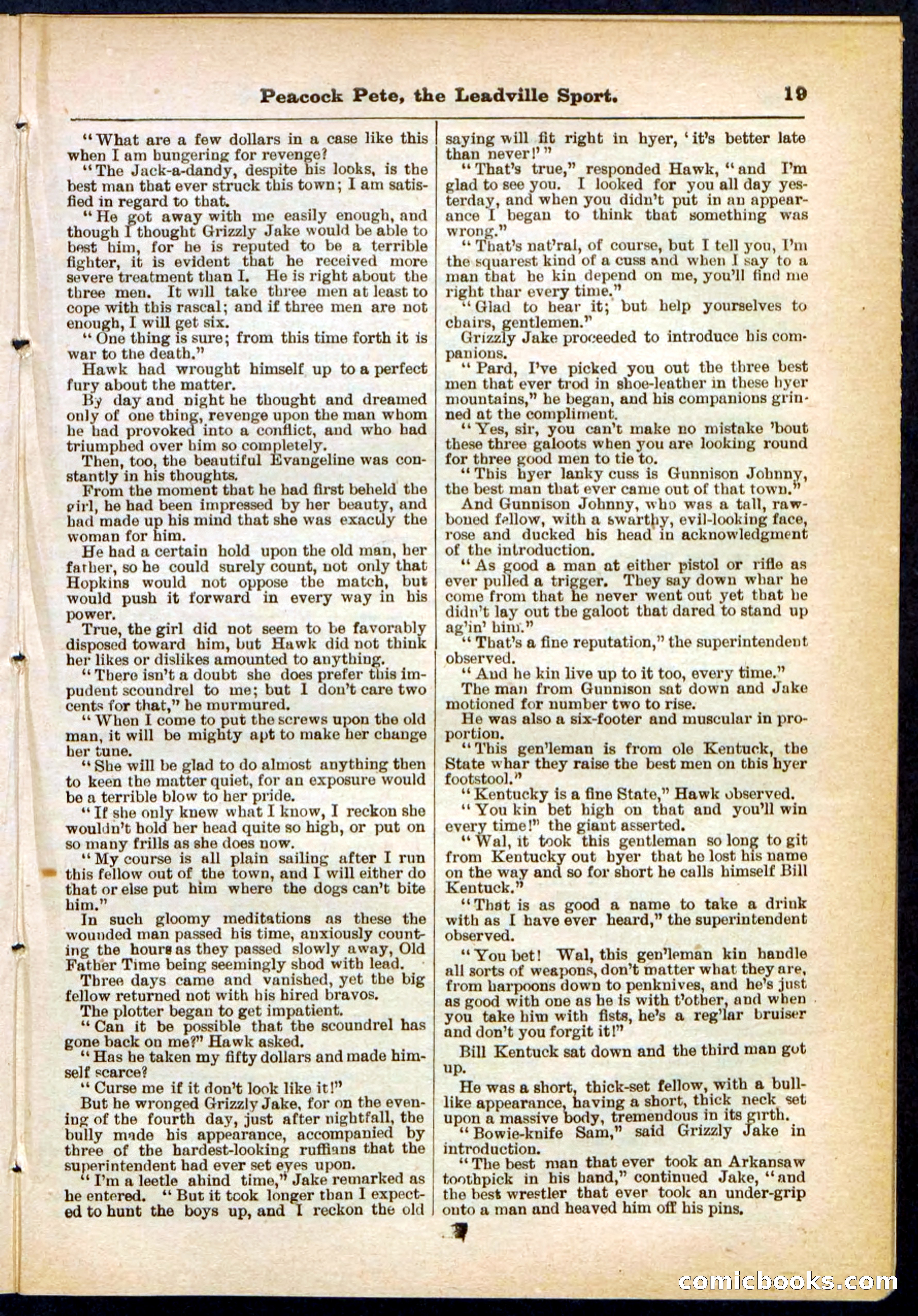 Beadle's Pocket Library No. 291 — page 19 of 32